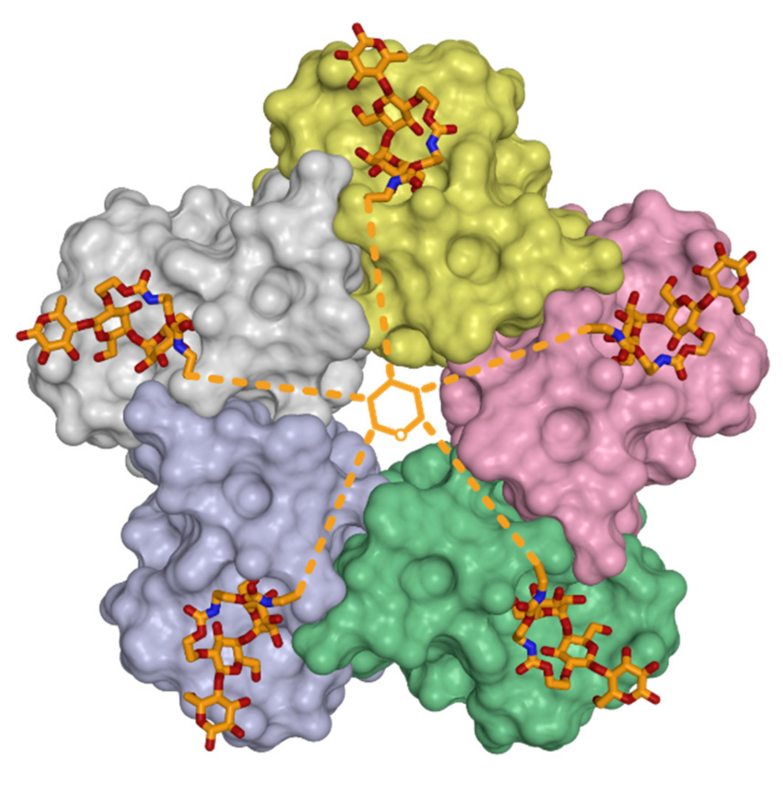 Viruses 11 00947 g002