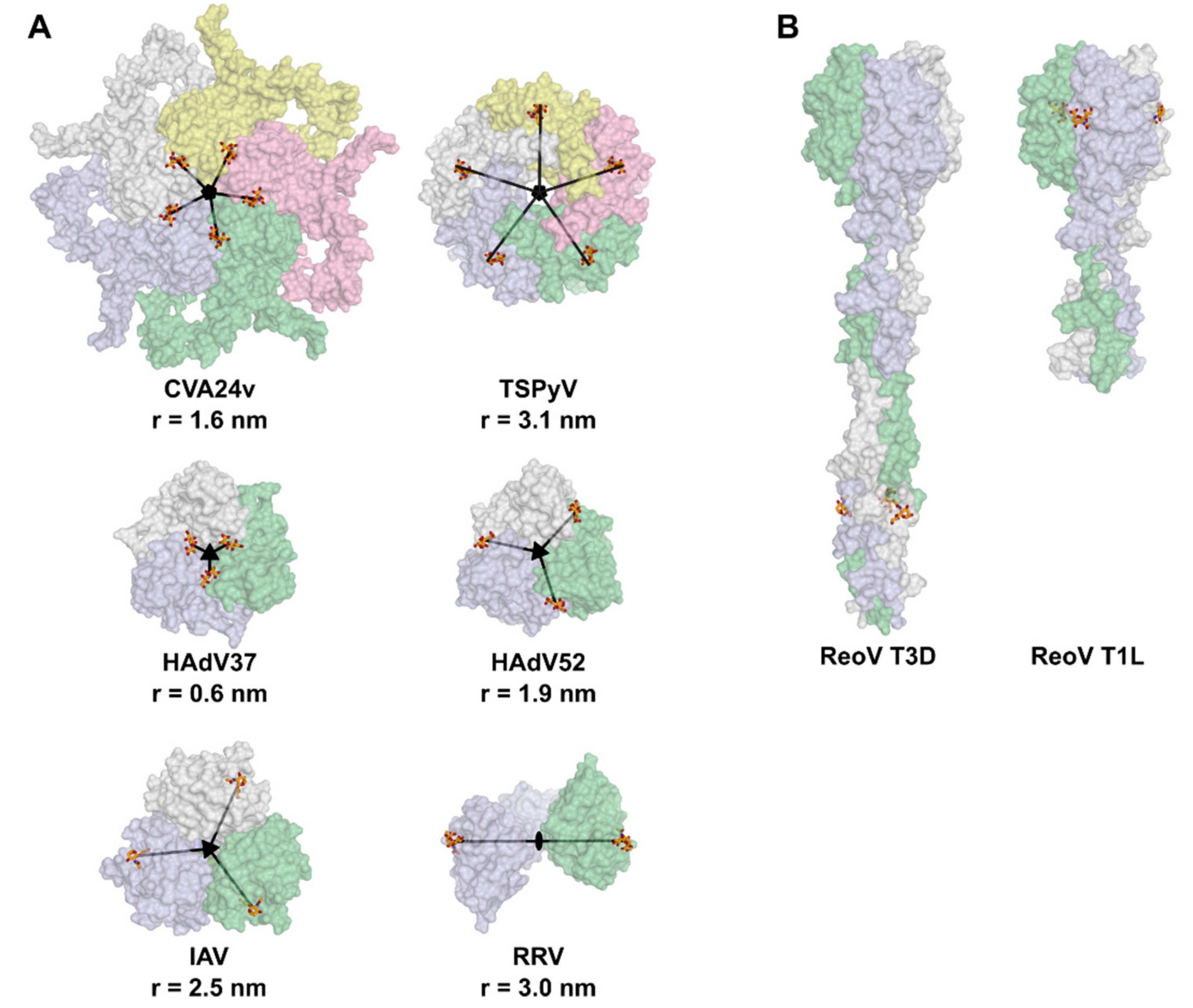 Viruses 11 00947 g004