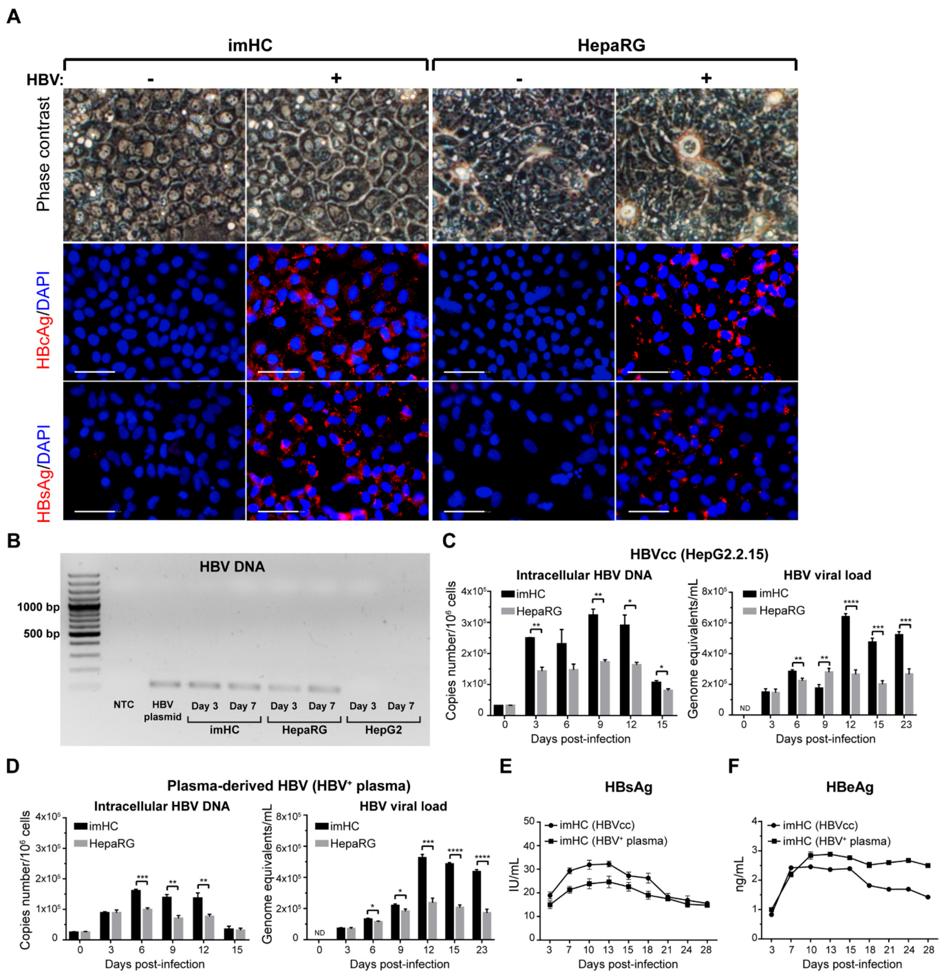 Viruses 11 00952 g003