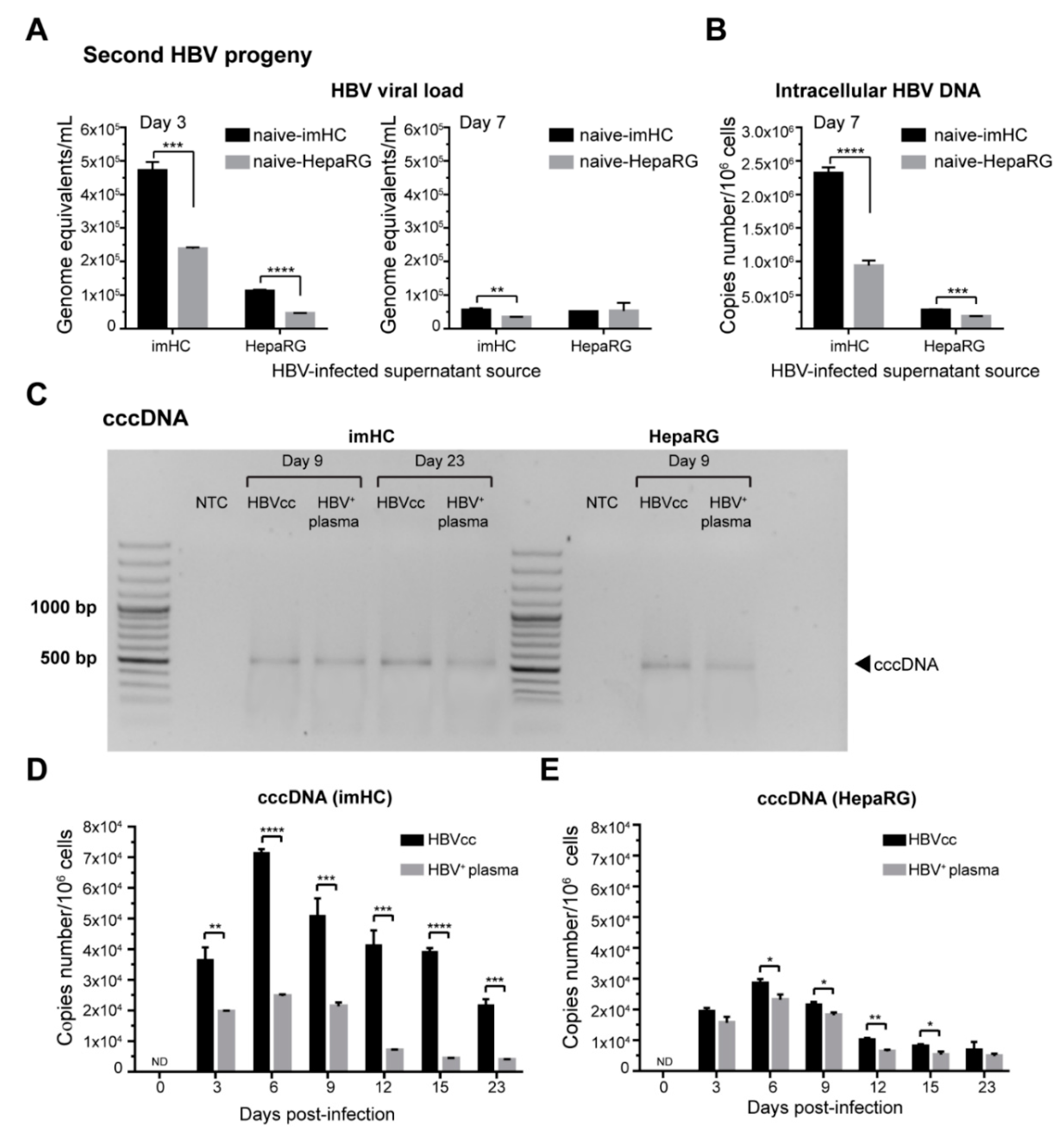 Viruses 11 00952 g004
