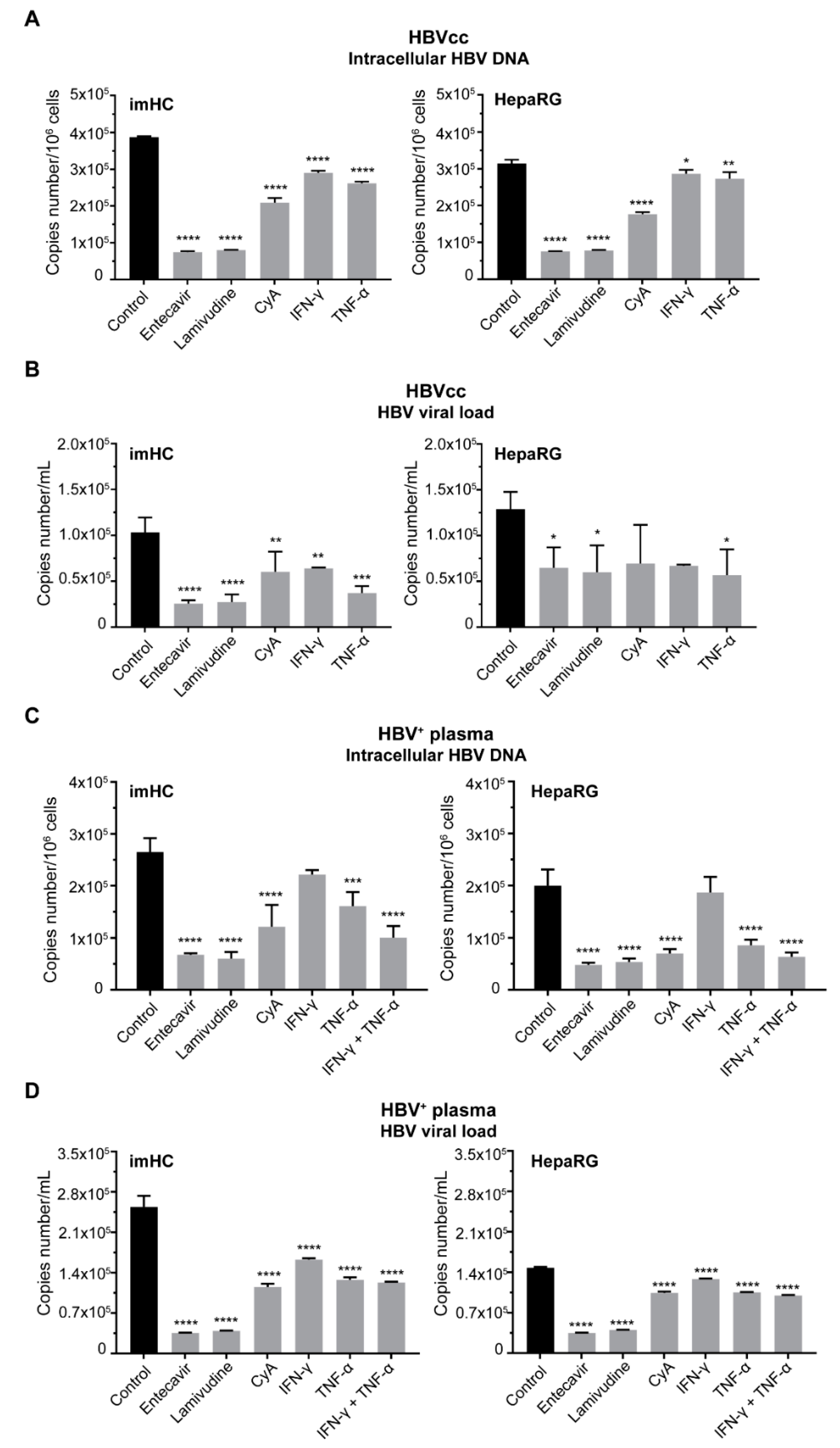 Viruses 11 00952 g005