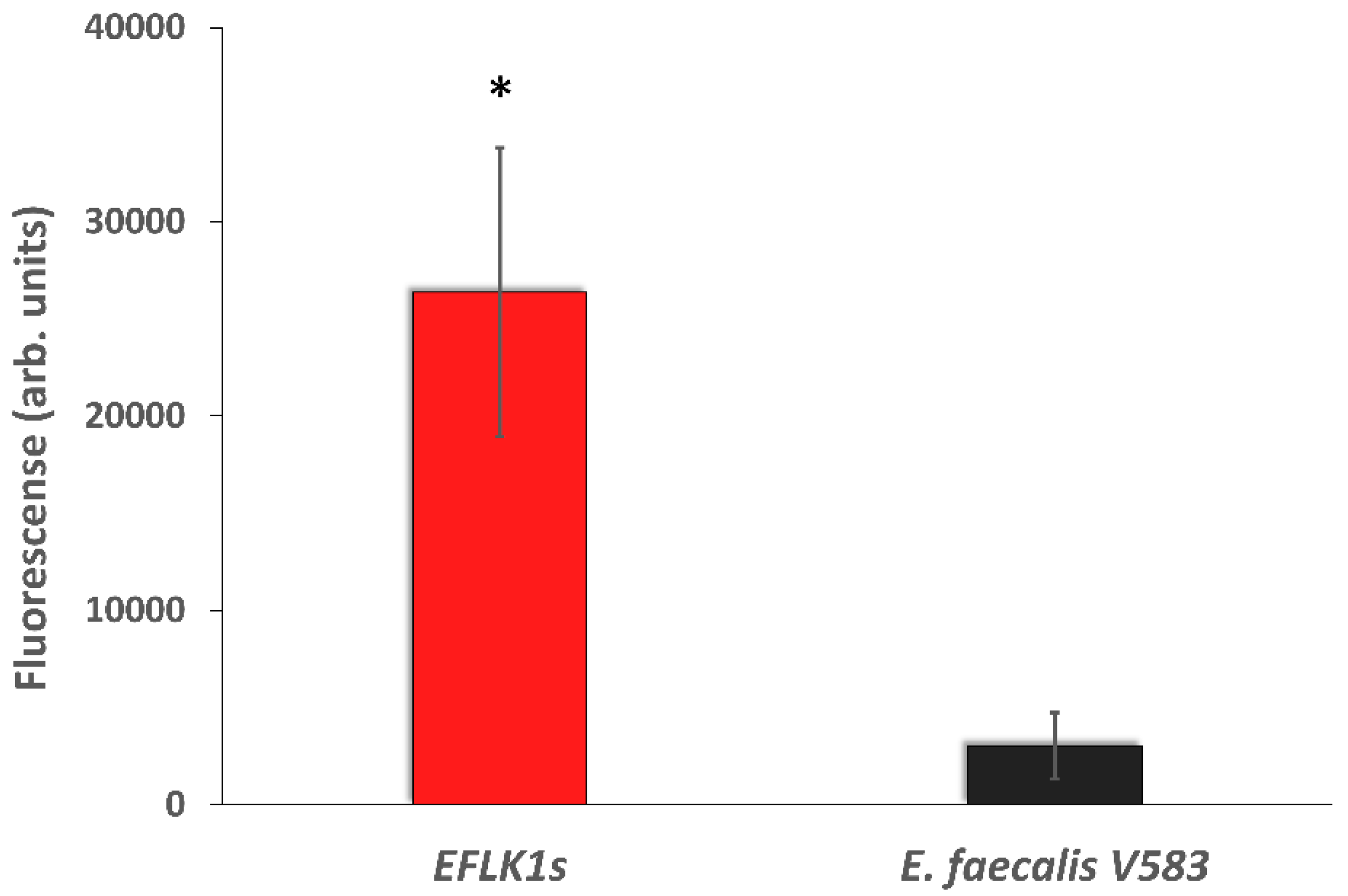 Viruses 11 00954 g008 Viruses 11 00954 g008