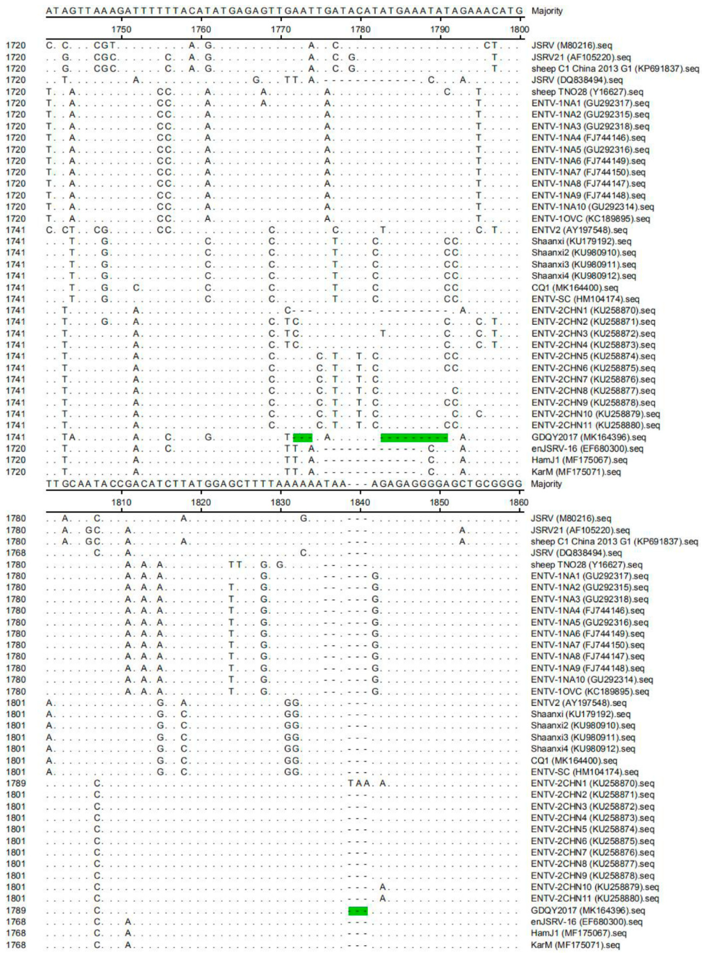 Viruses 11 00956 g004 Viruses 11 00956 g004