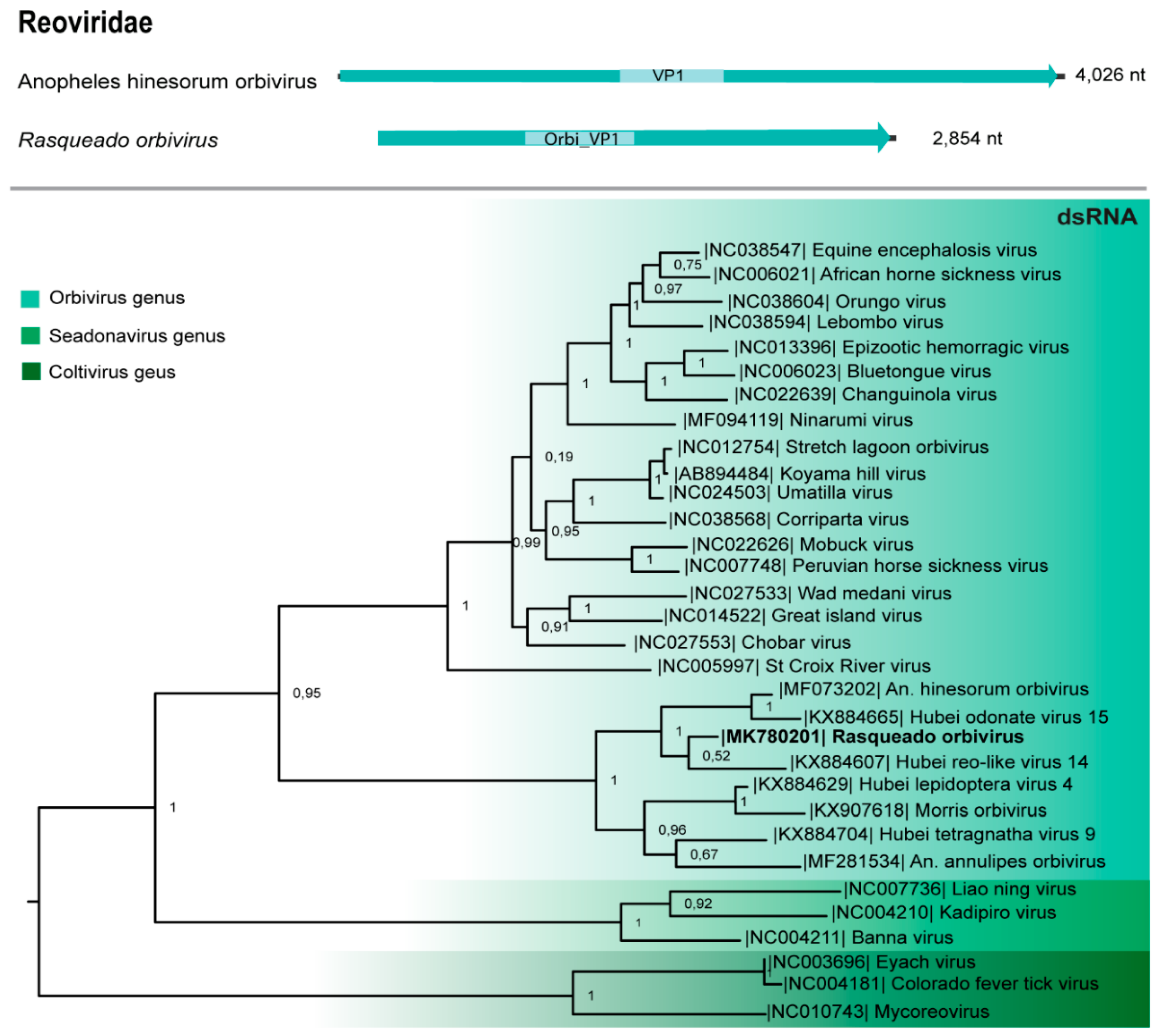 Viruses 11 00957 g005