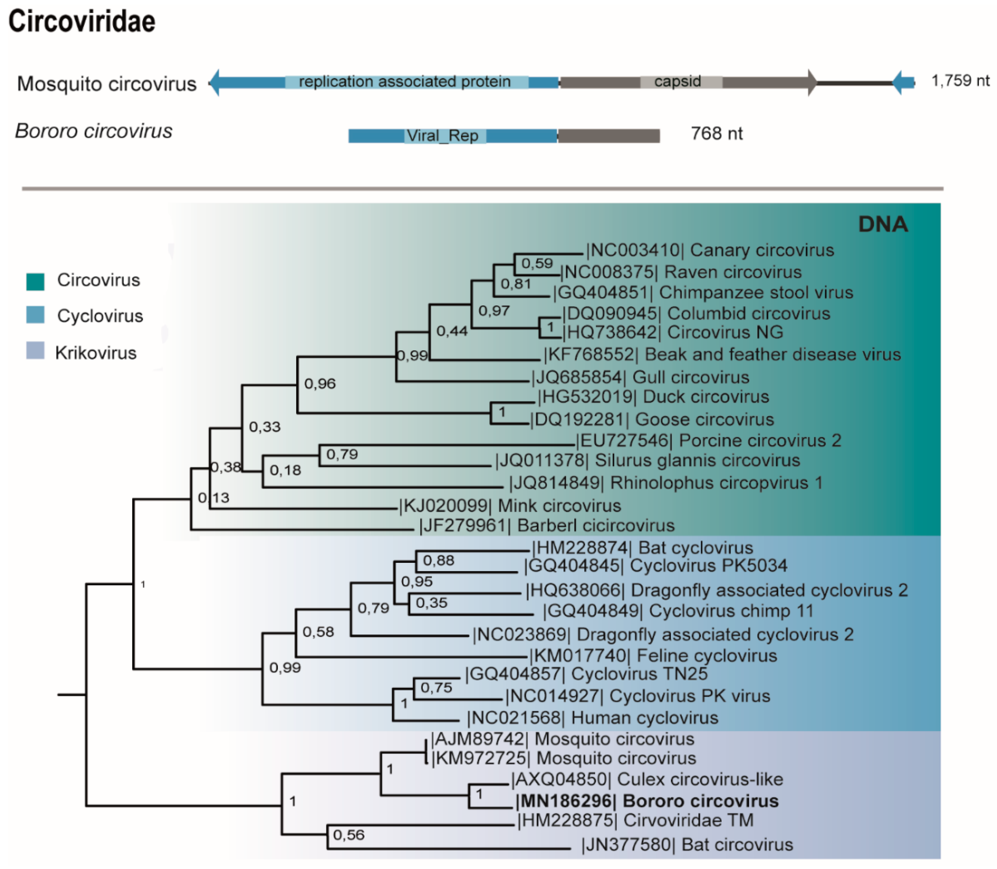 Viruses 11 00957 g006