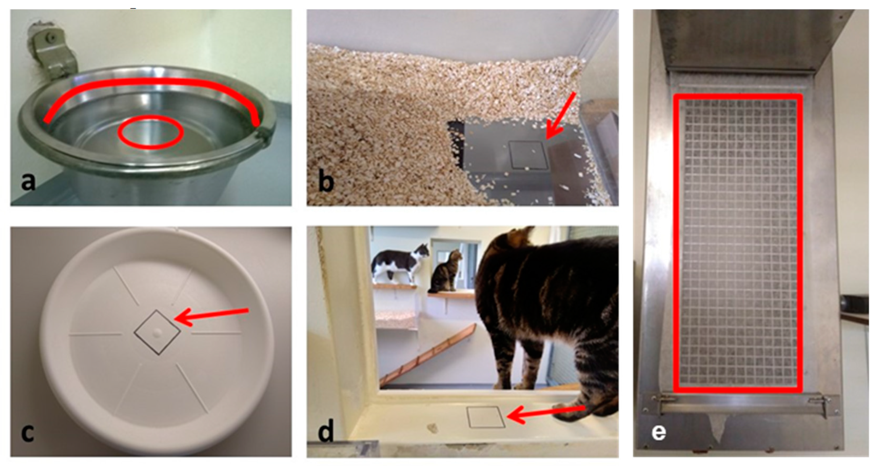 Viruses 11 00958 g002