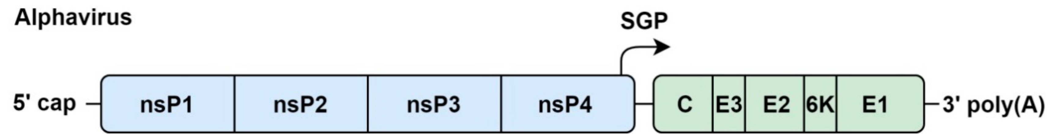 Viruses 11 00961 g003