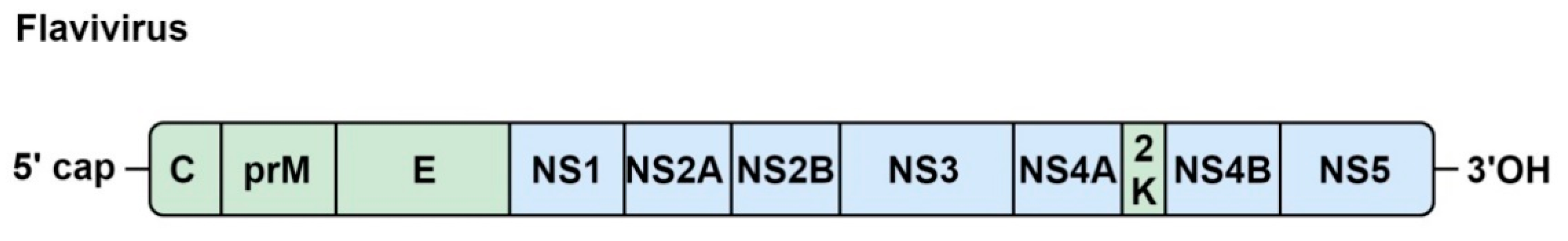 Viruses 11 00961 g004
