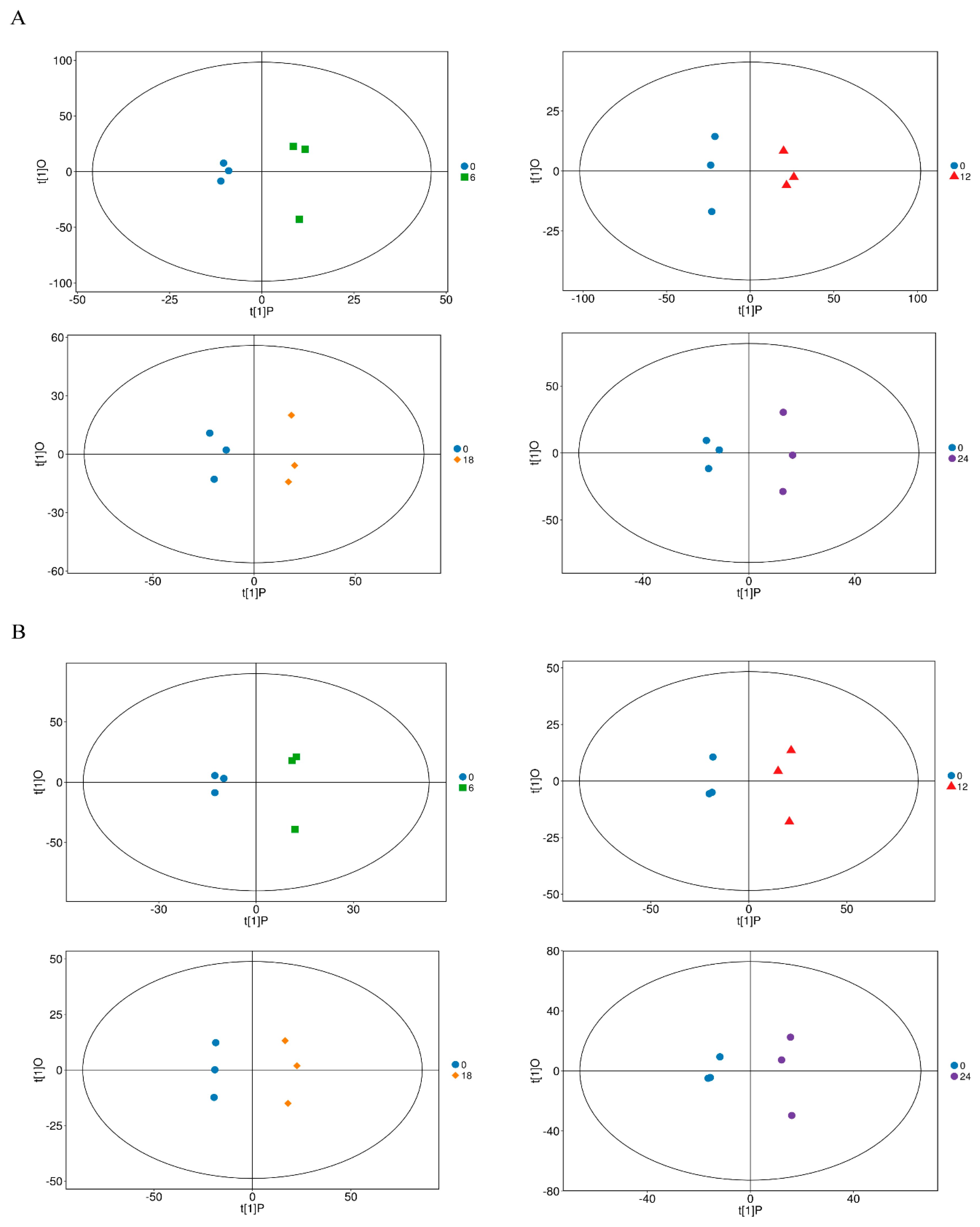 Viruses 11 00962 g002
