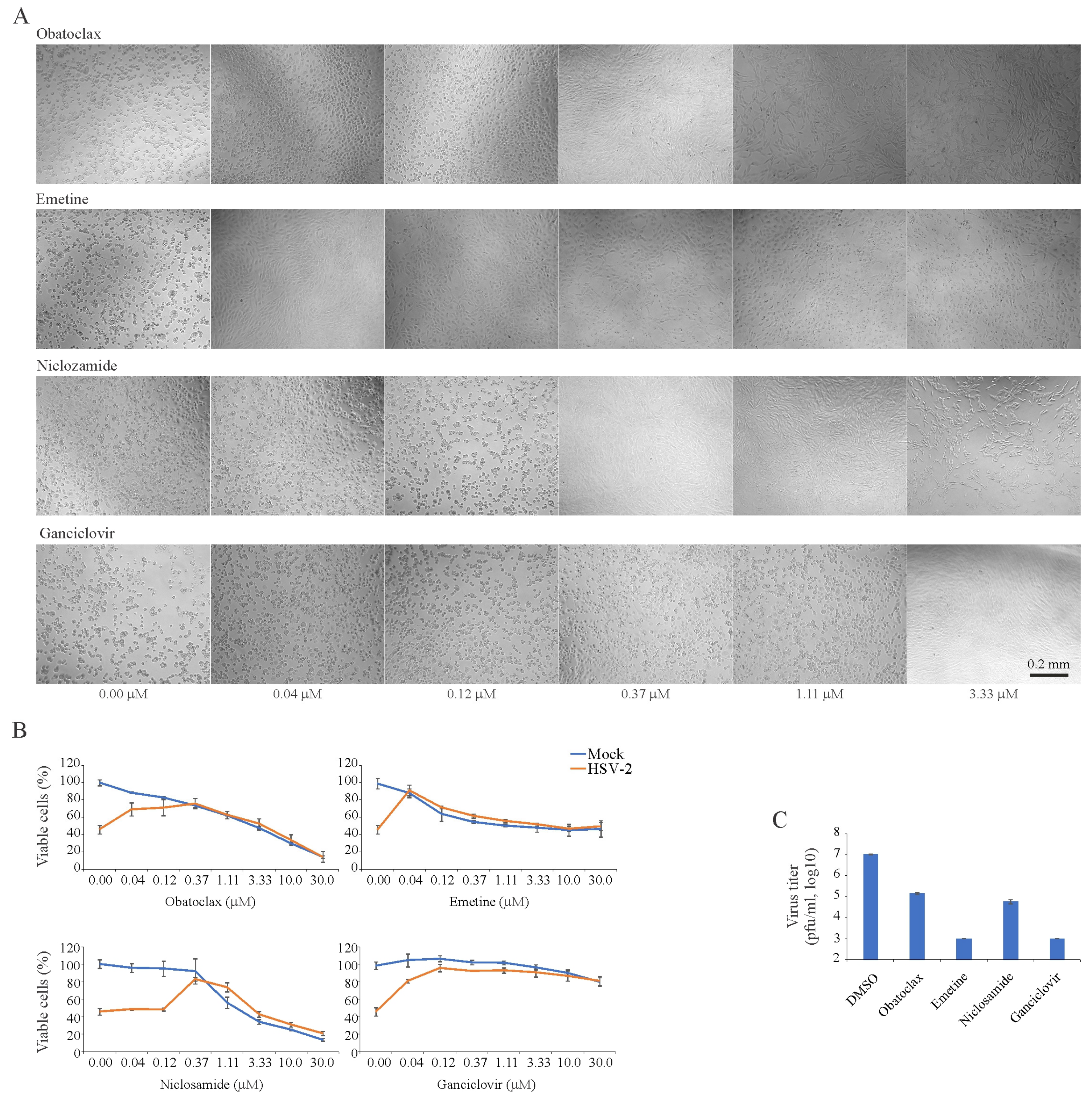 Viruses 11 00964 g002