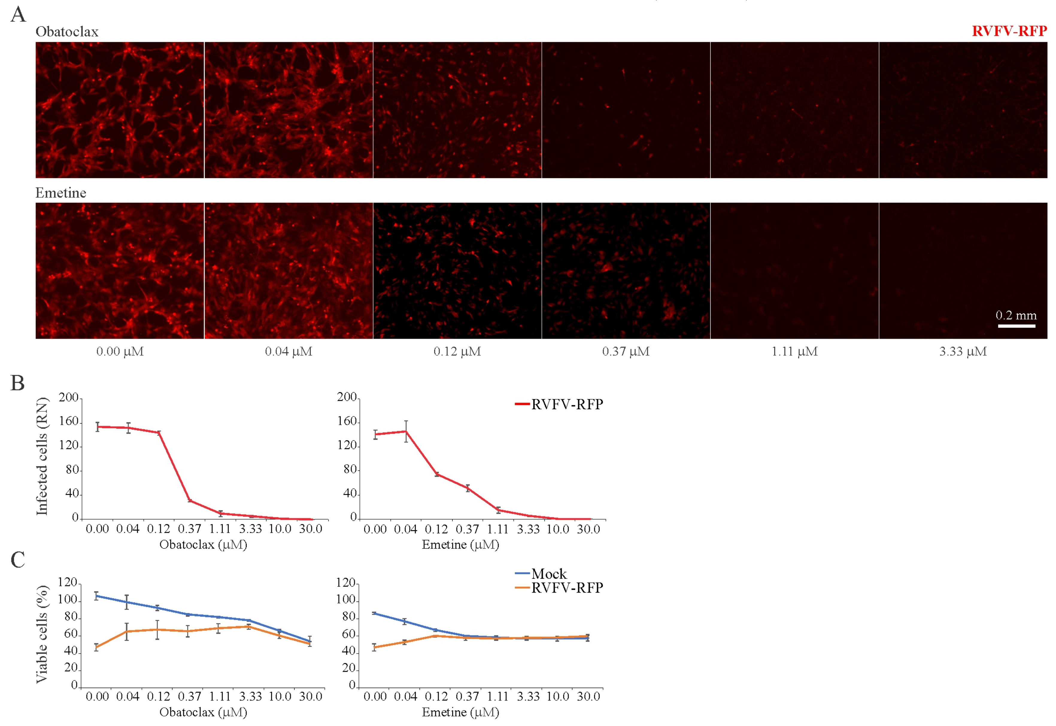 Viruses 11 00964 g005