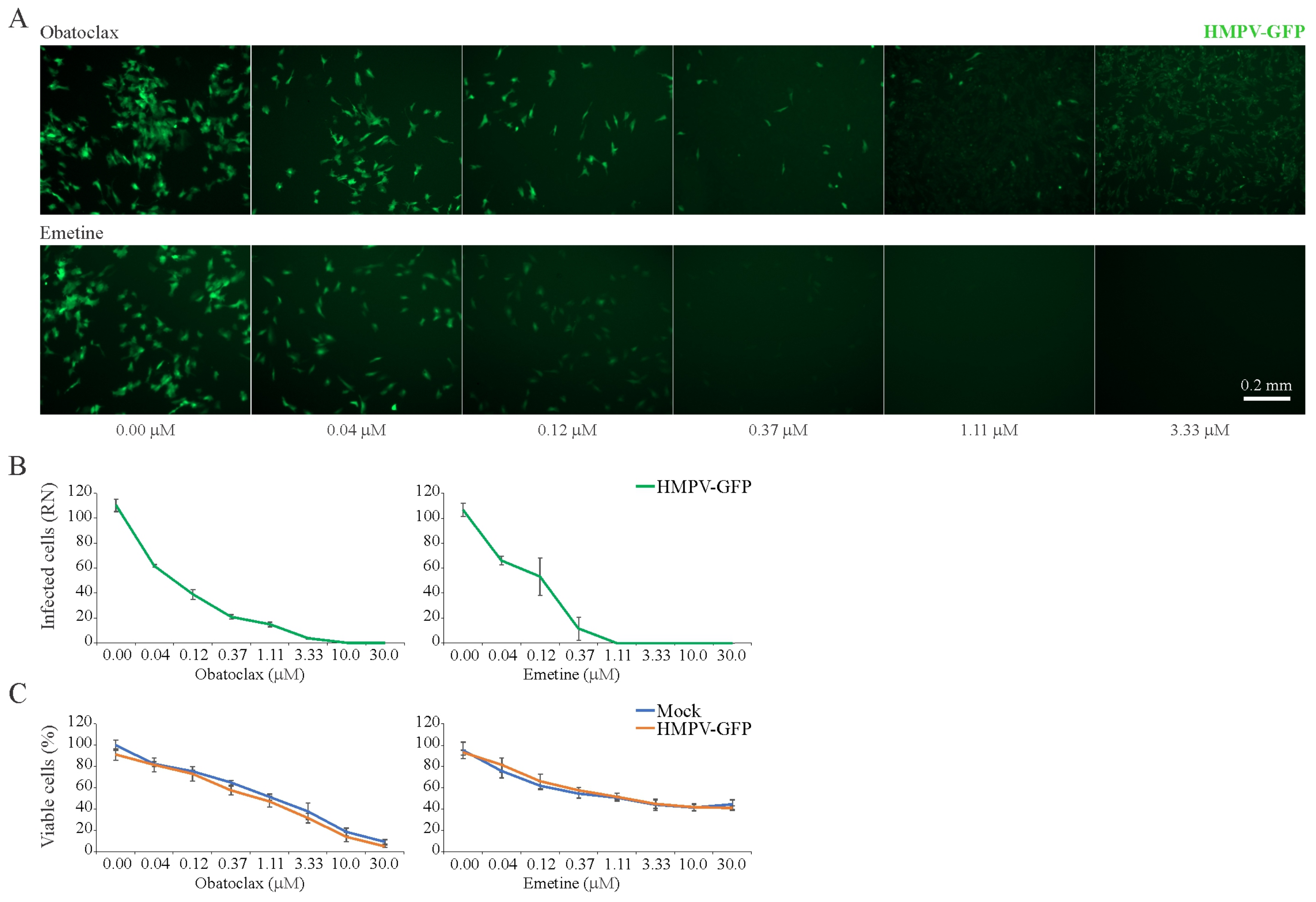Viruses 11 00964 g006