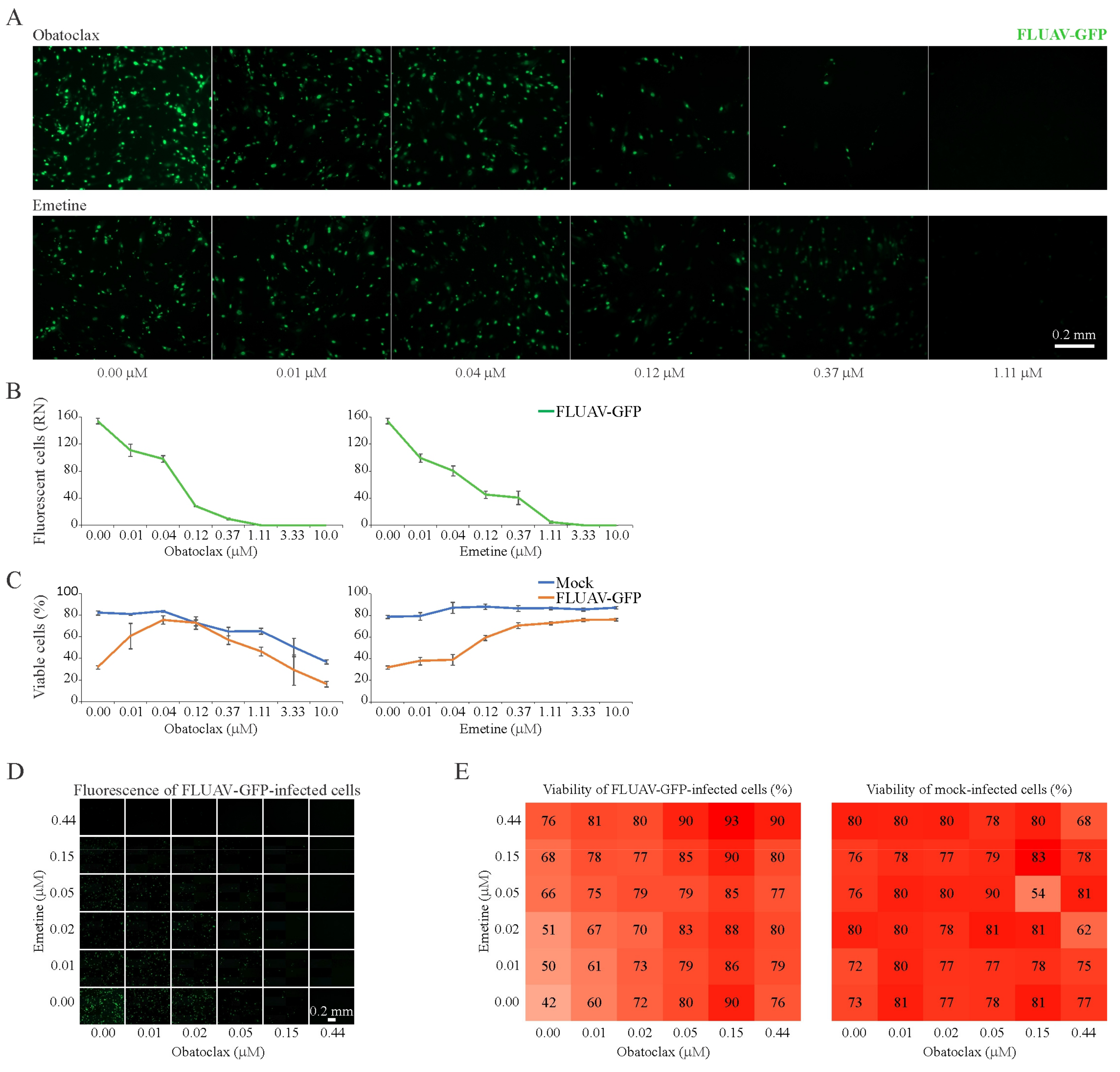 Viruses 11 00964 g007