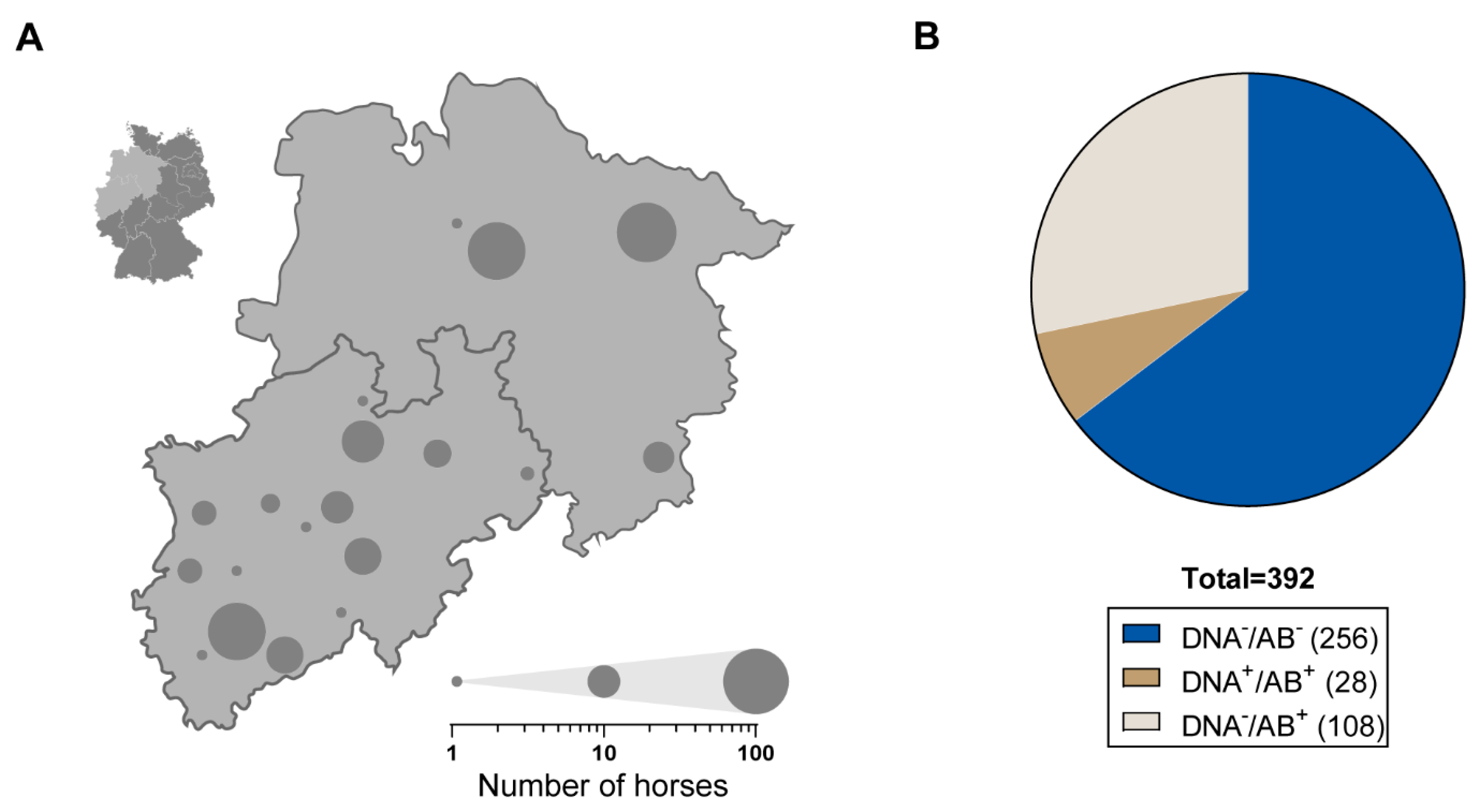 Viruses 11 00965 g001 Viruses 11 00965 g001
