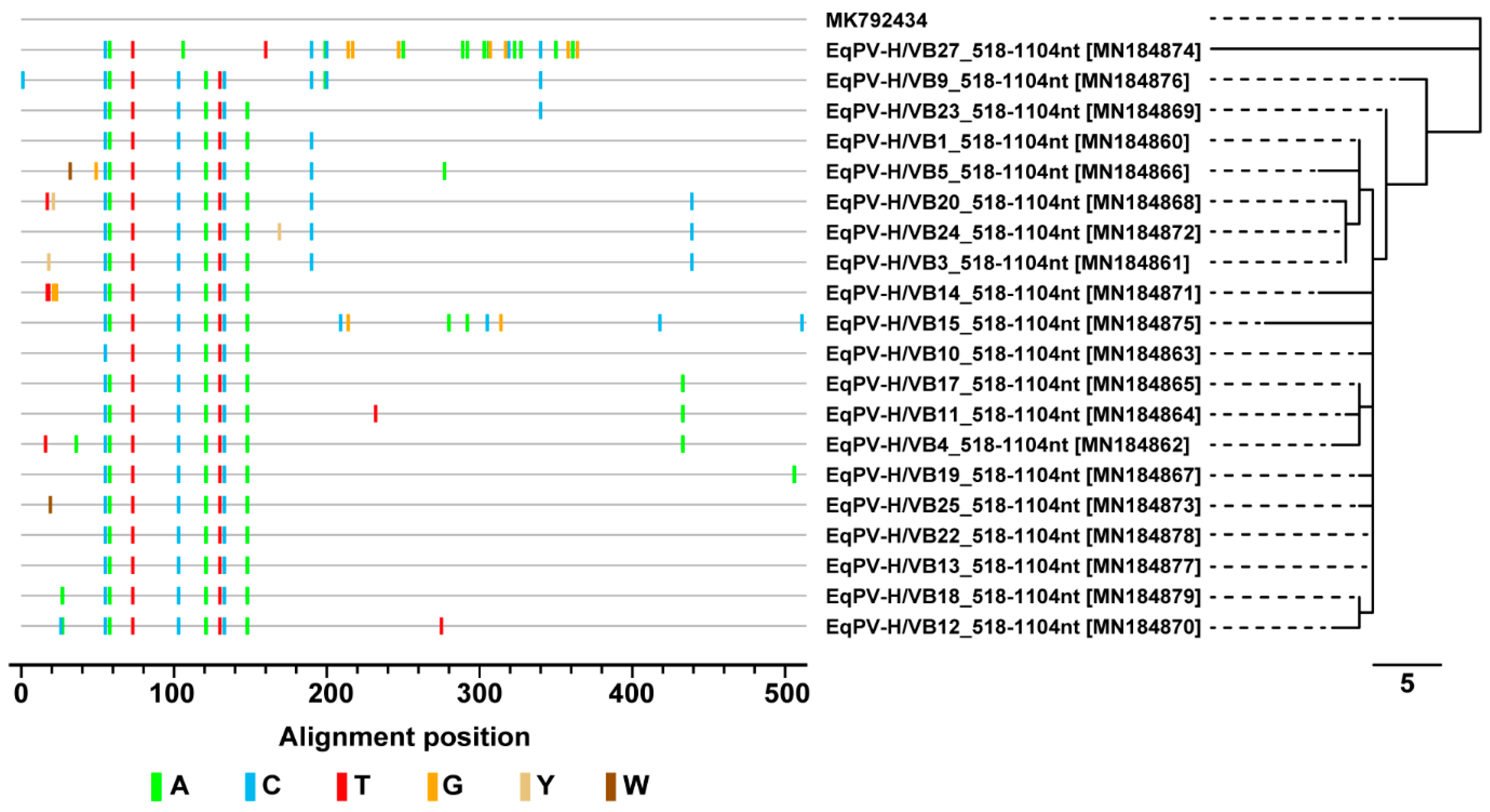Viruses 11 00965 g004 Viruses 11 00965 g004