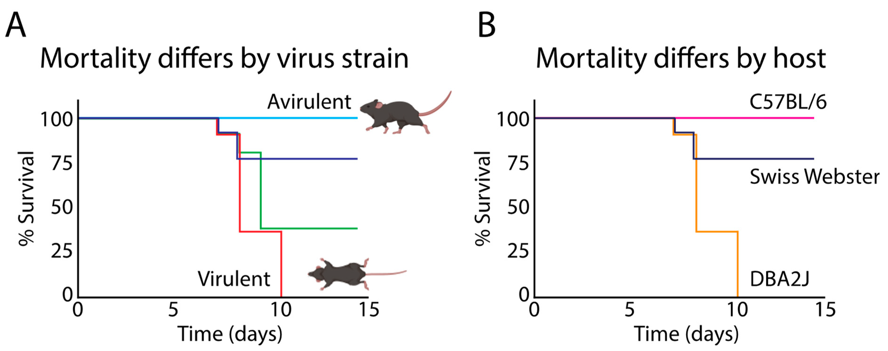 Viruses 11 00966 g004
