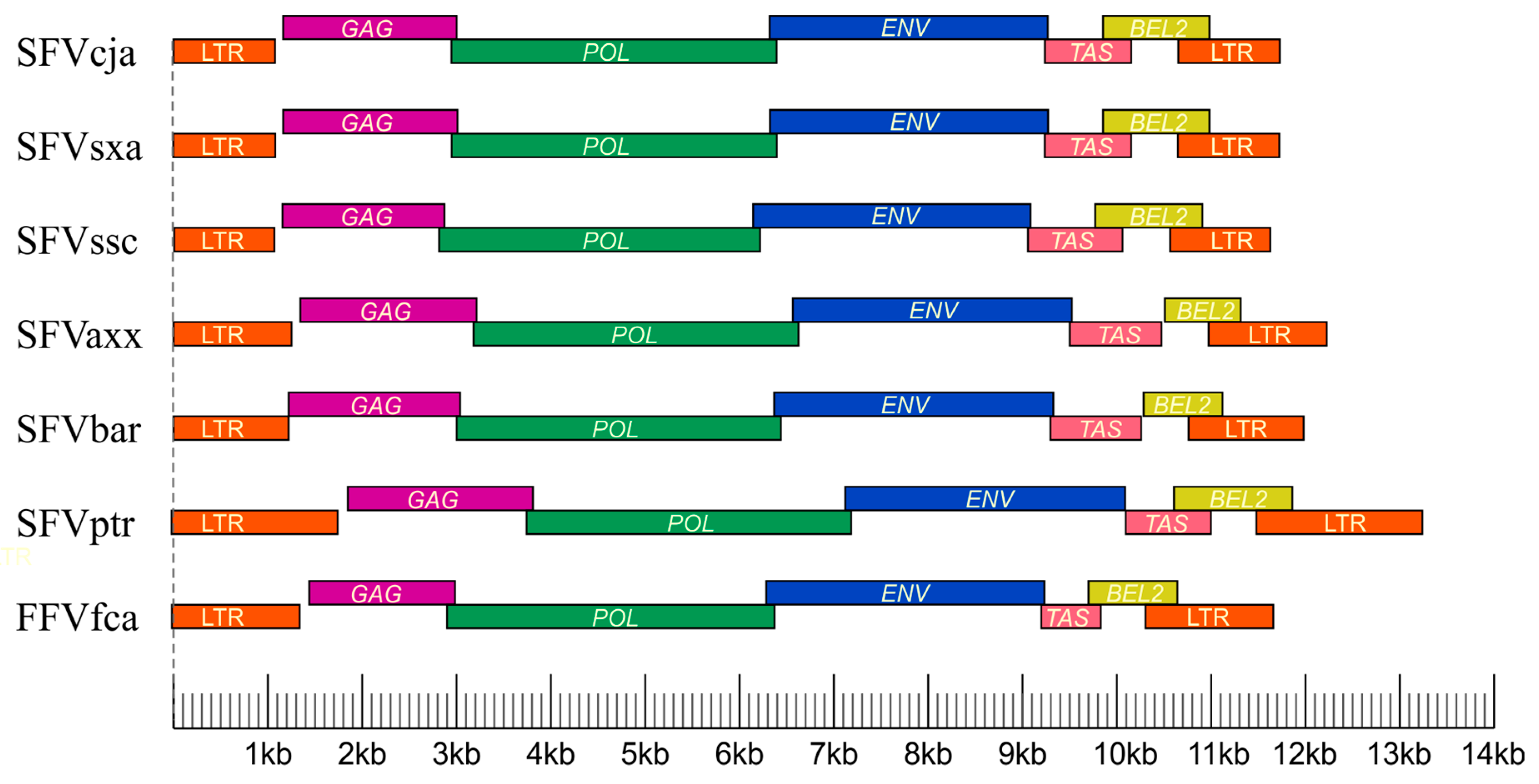 Viruses 11 00967 g003