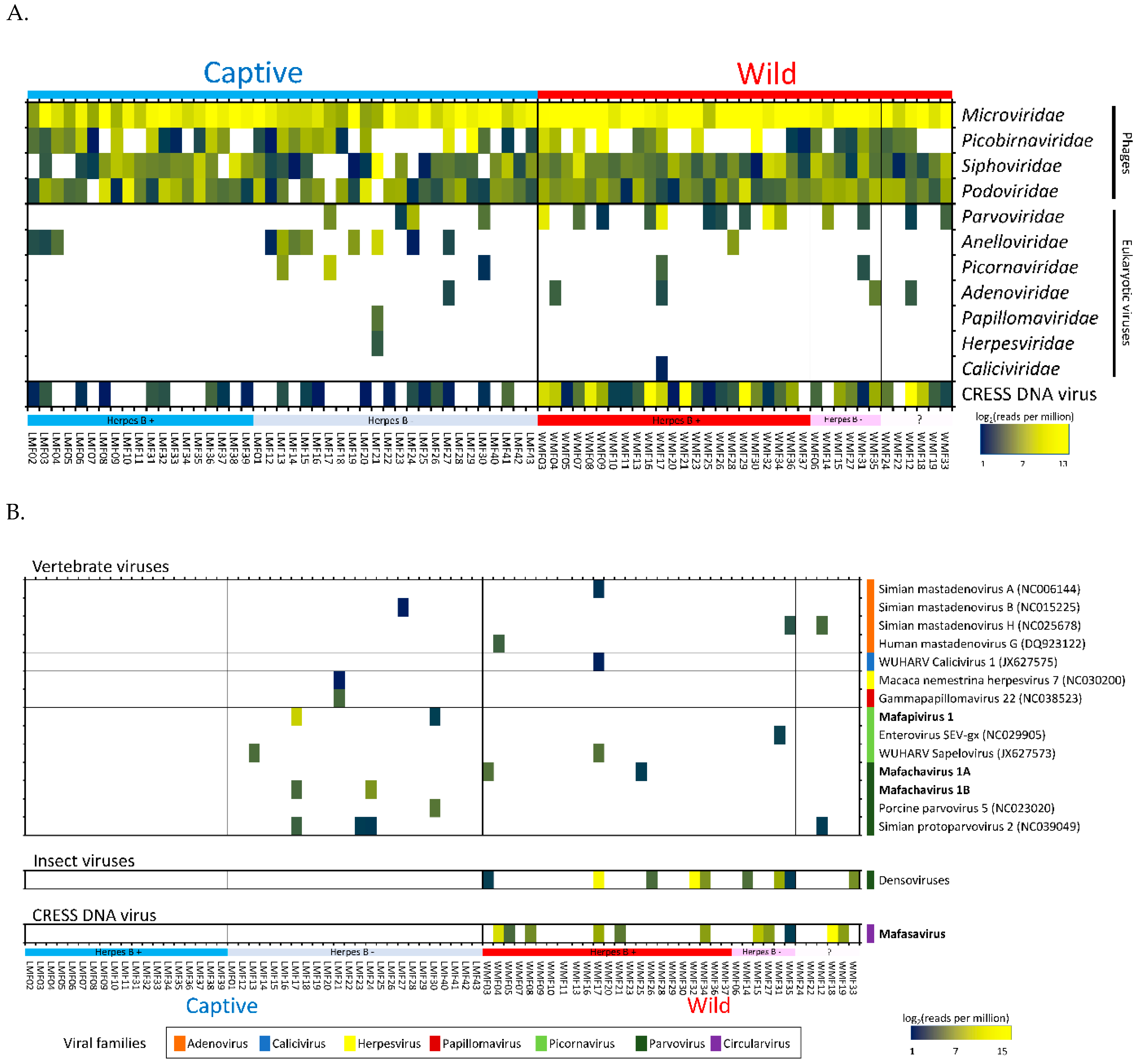 Viruses 11 00971 g002 Viruses 11 00971 g002