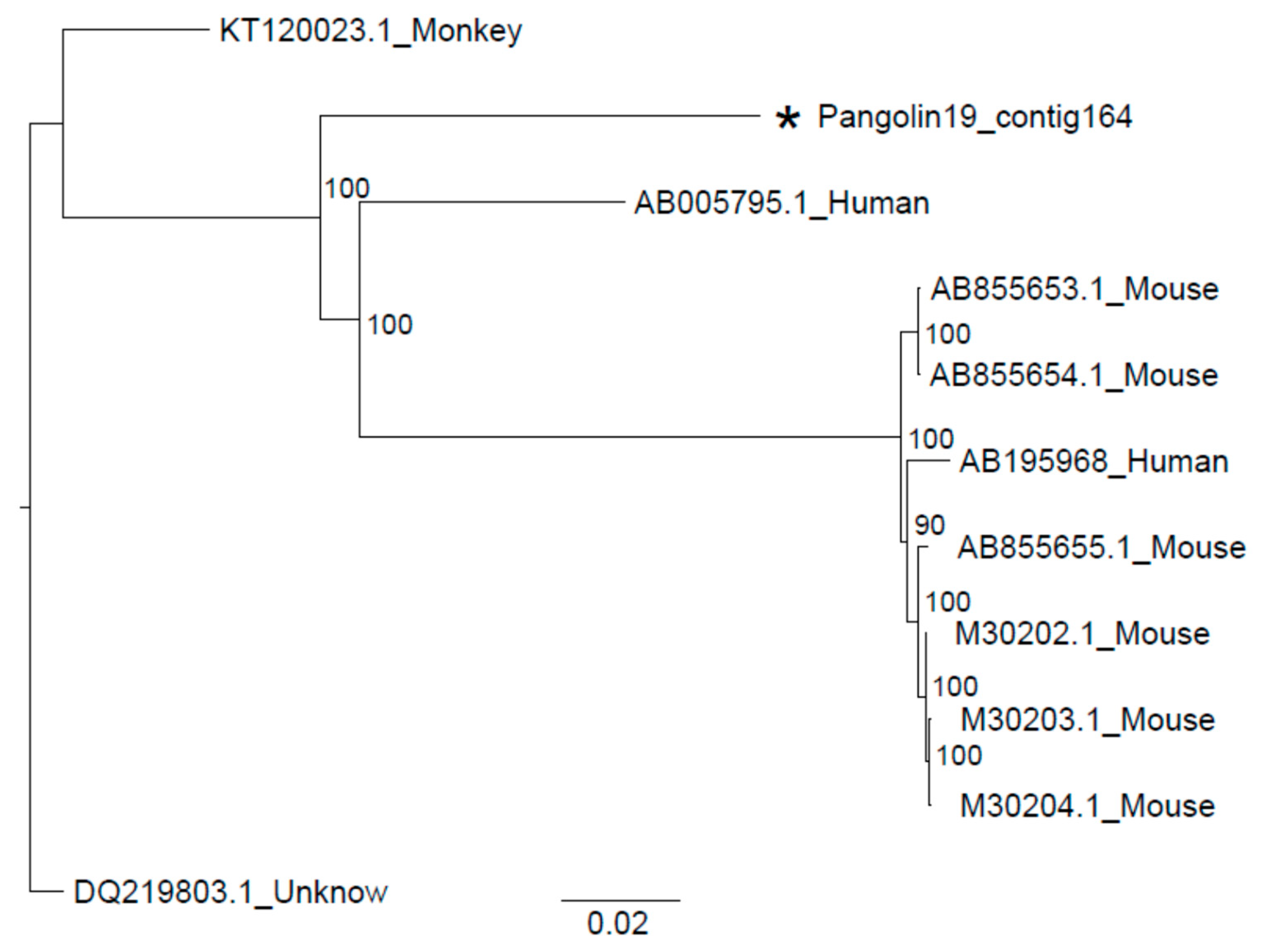 Viruses 11 00979 g003