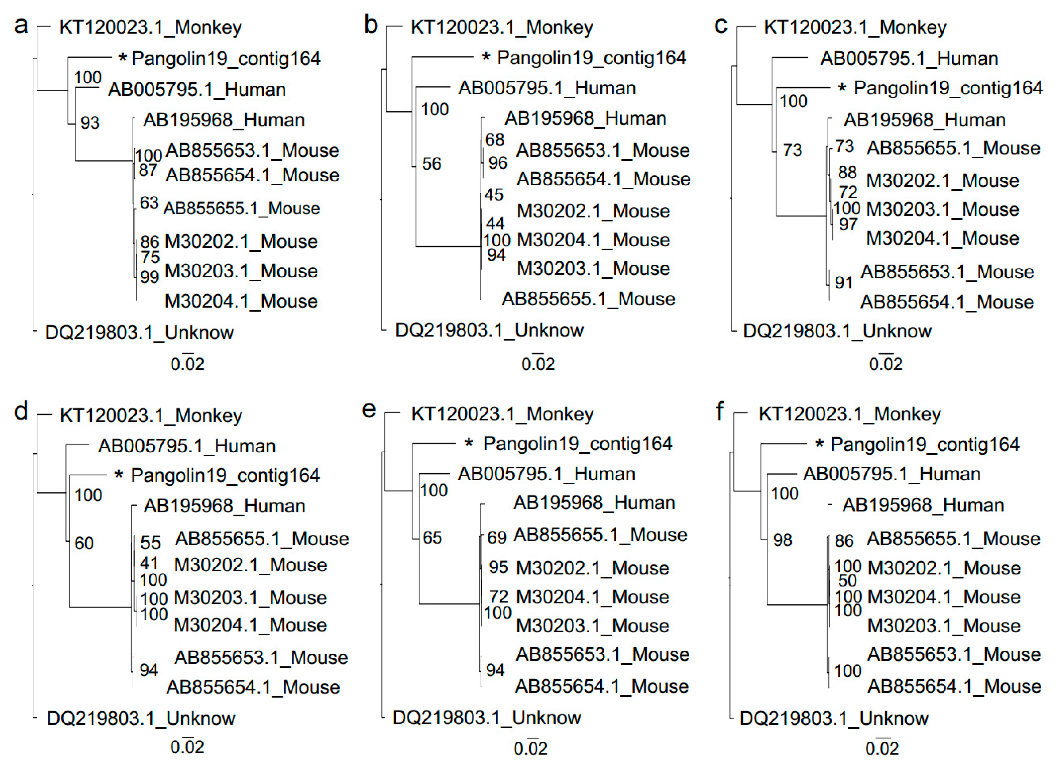 Viruses 11 00979 g004