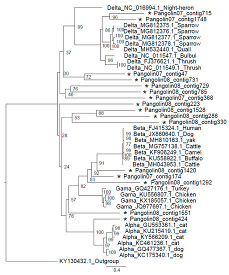 Virus 11 00979 g005 550