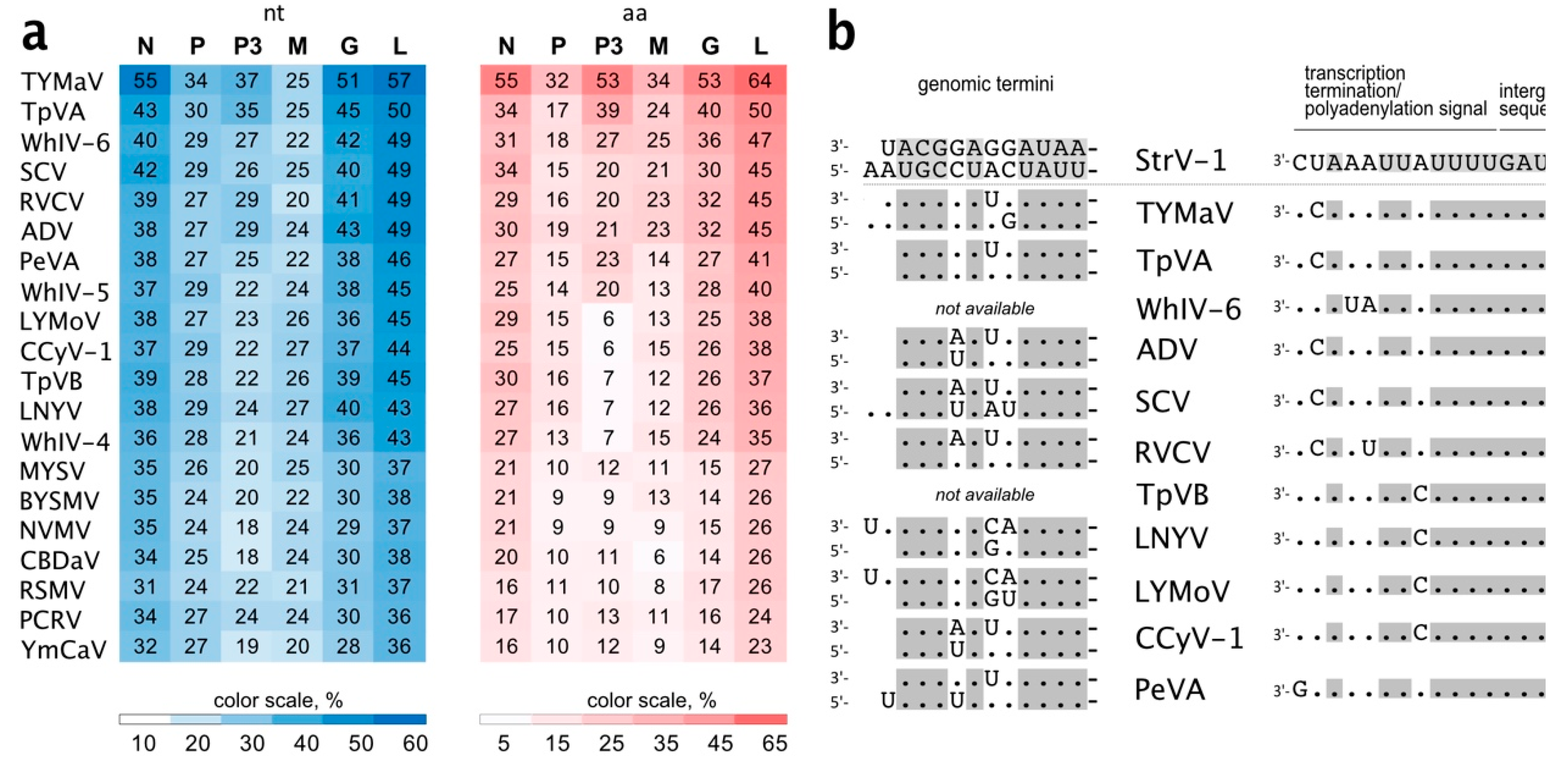 Viruses 11 00982 g005 550
