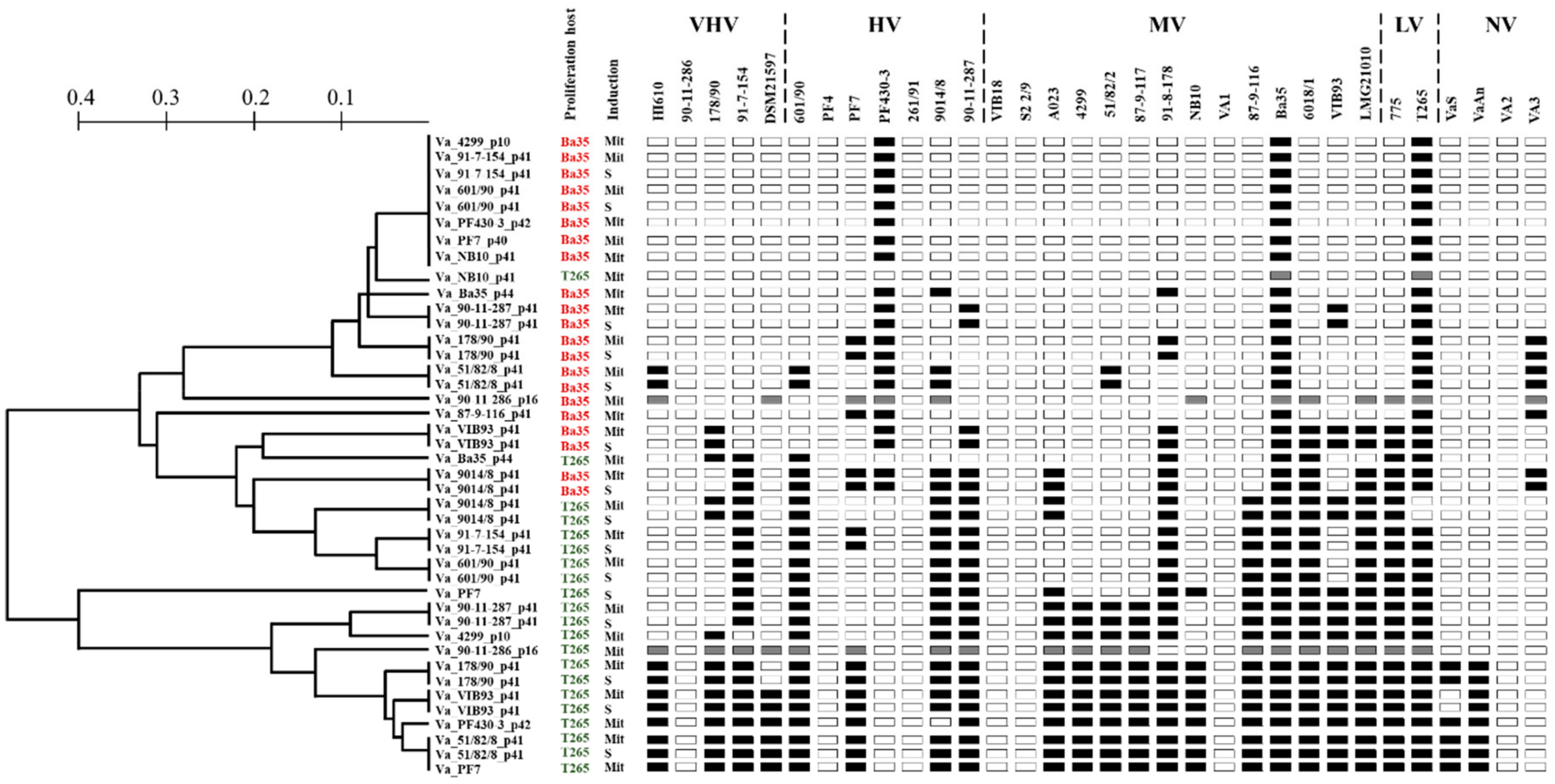 Viruses 11 00983 g002