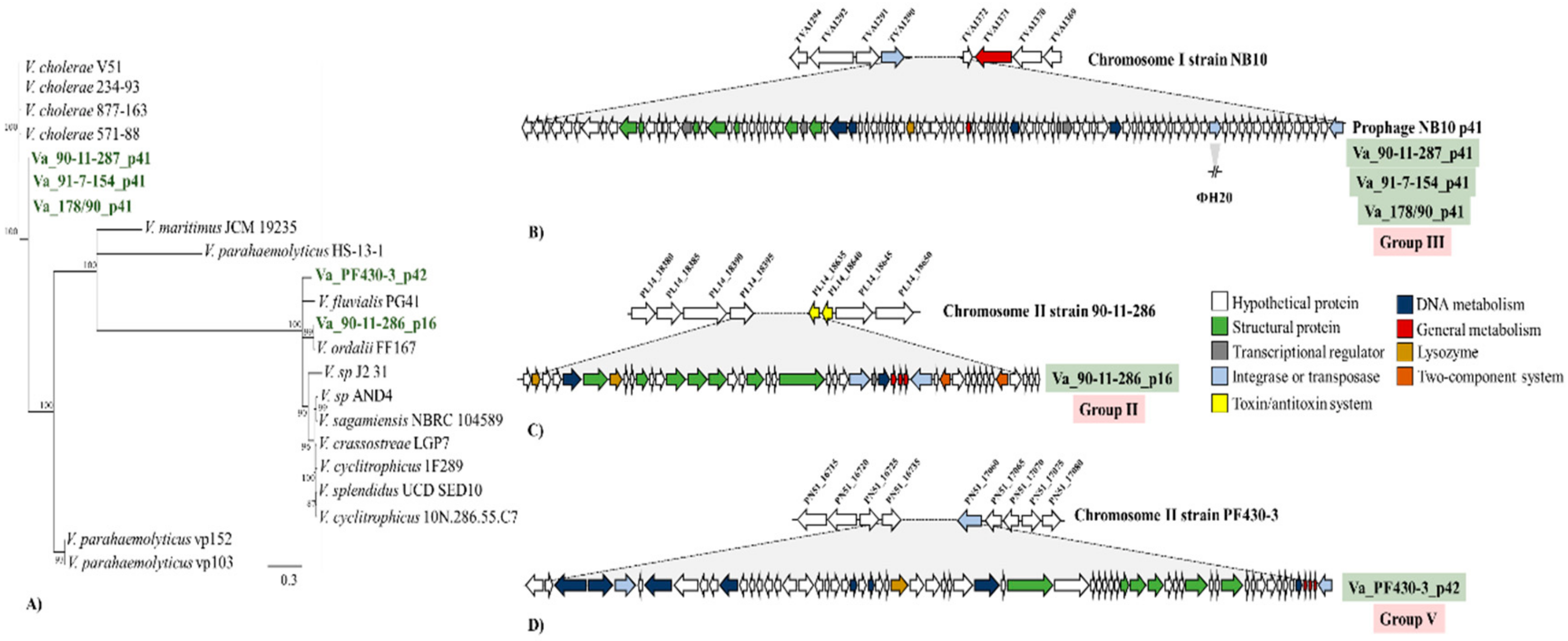 Viruses 11 00983 g003