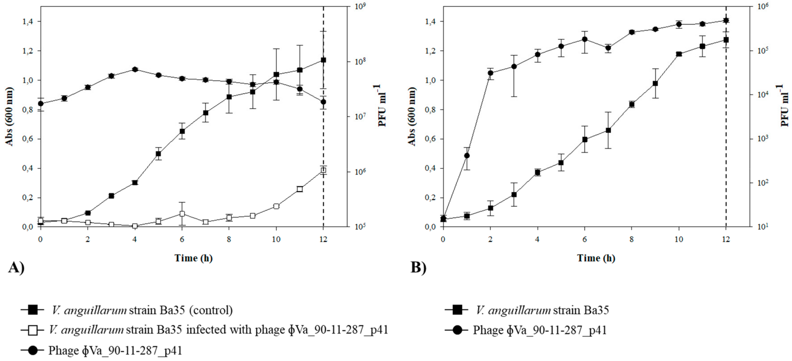 Viruses 11 00983 g004