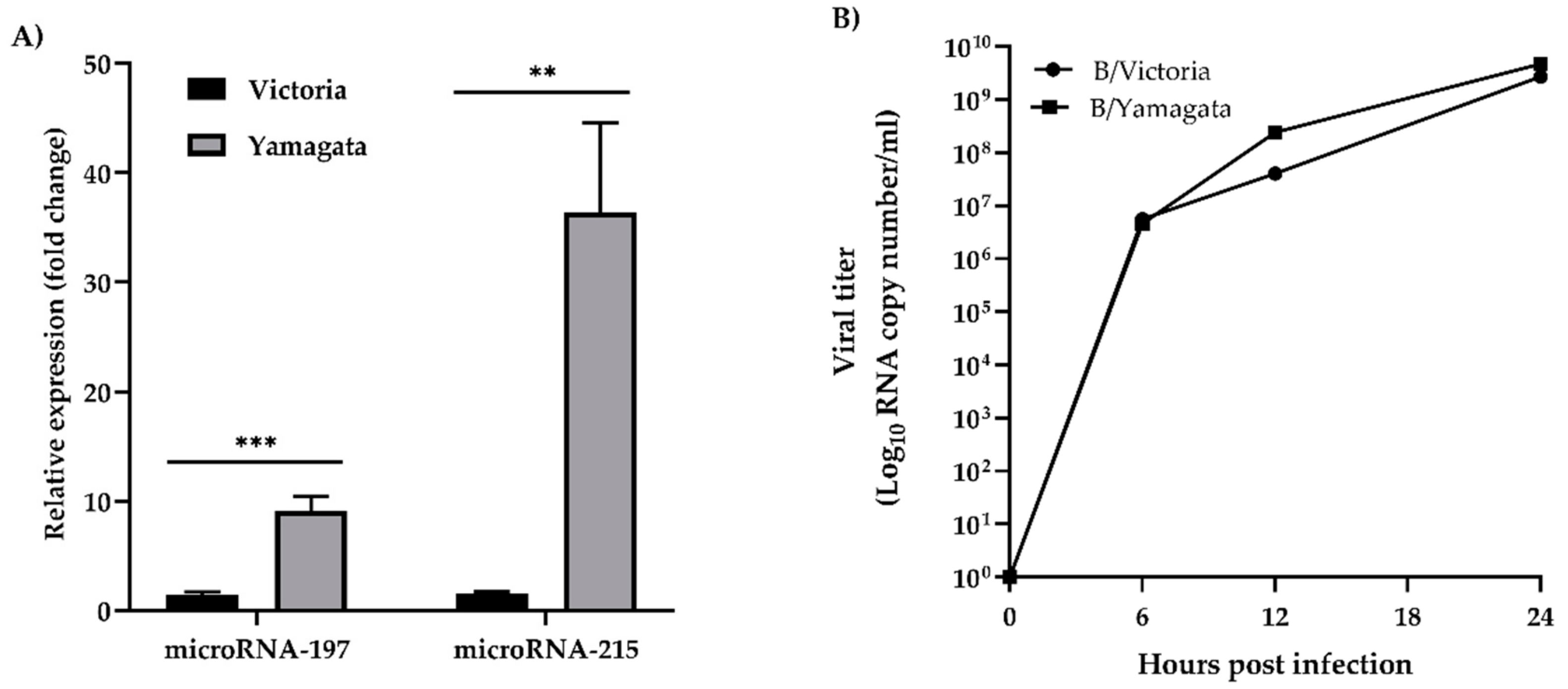Viruses 11 00986 g002