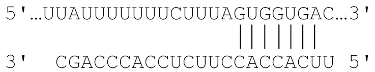 Viruses 11 00986 i001