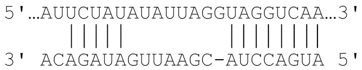 Viruses 11 00986 i003