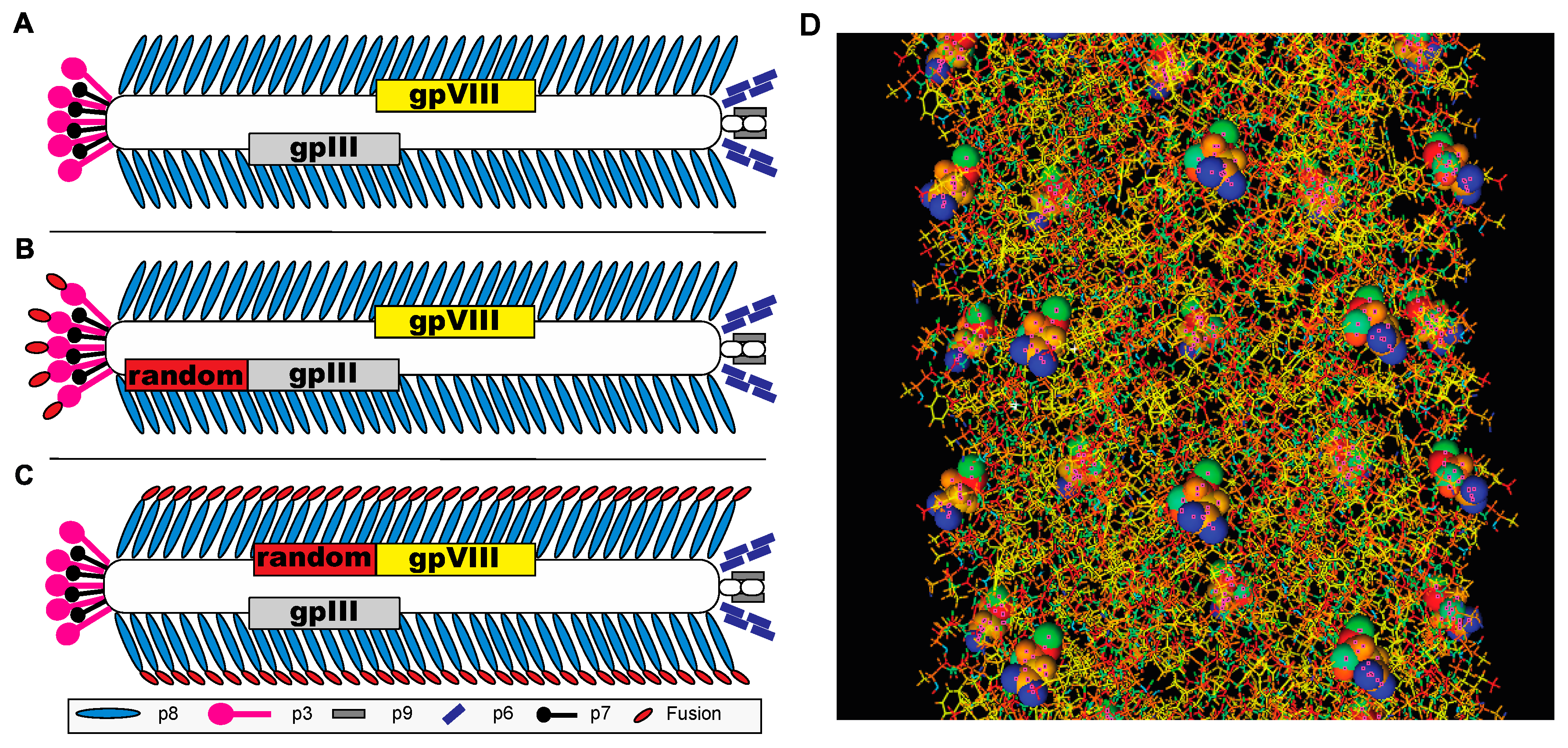 Viruses 11 00988 g001