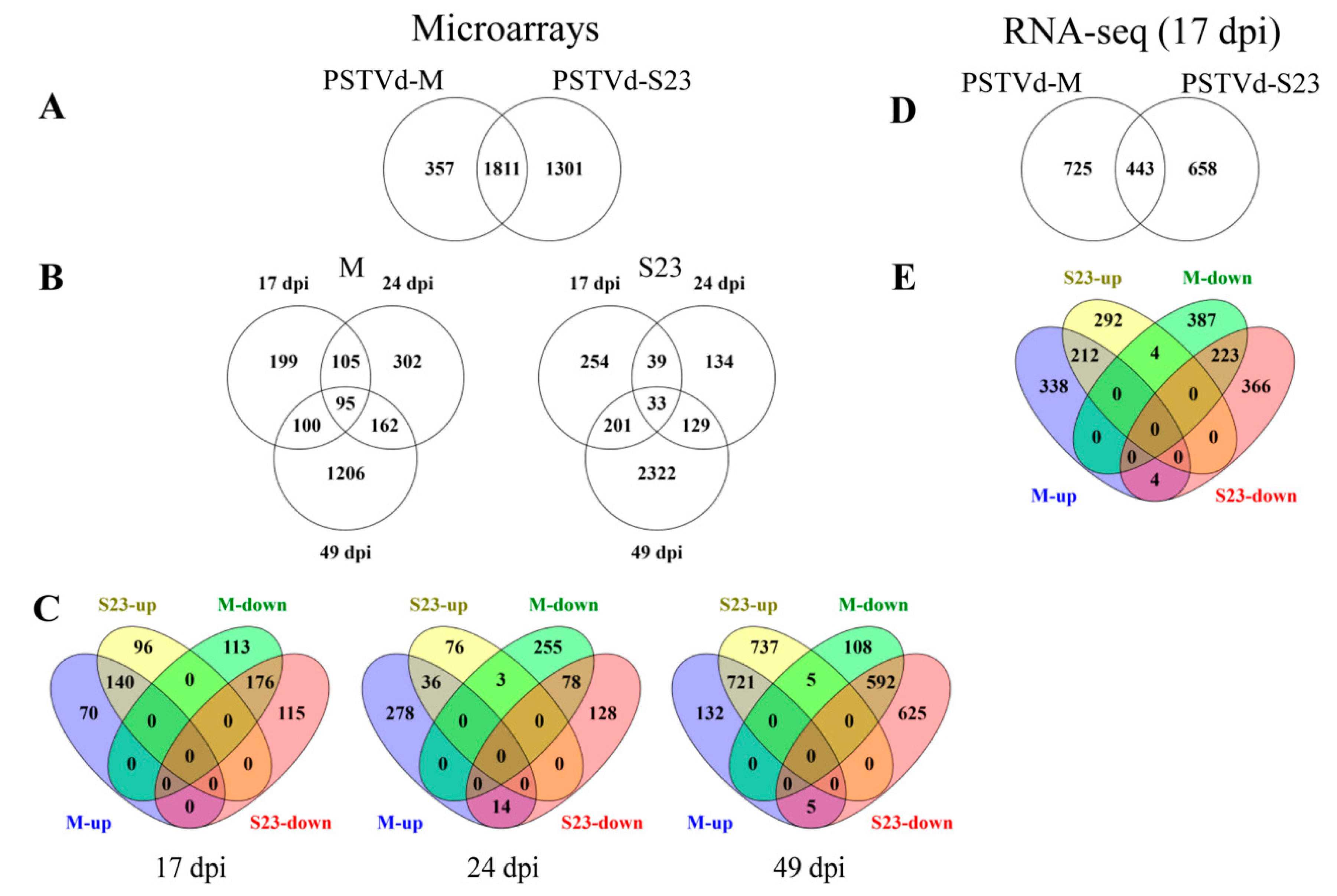 Preparing The Cdna Probe Flow Chart 15 3