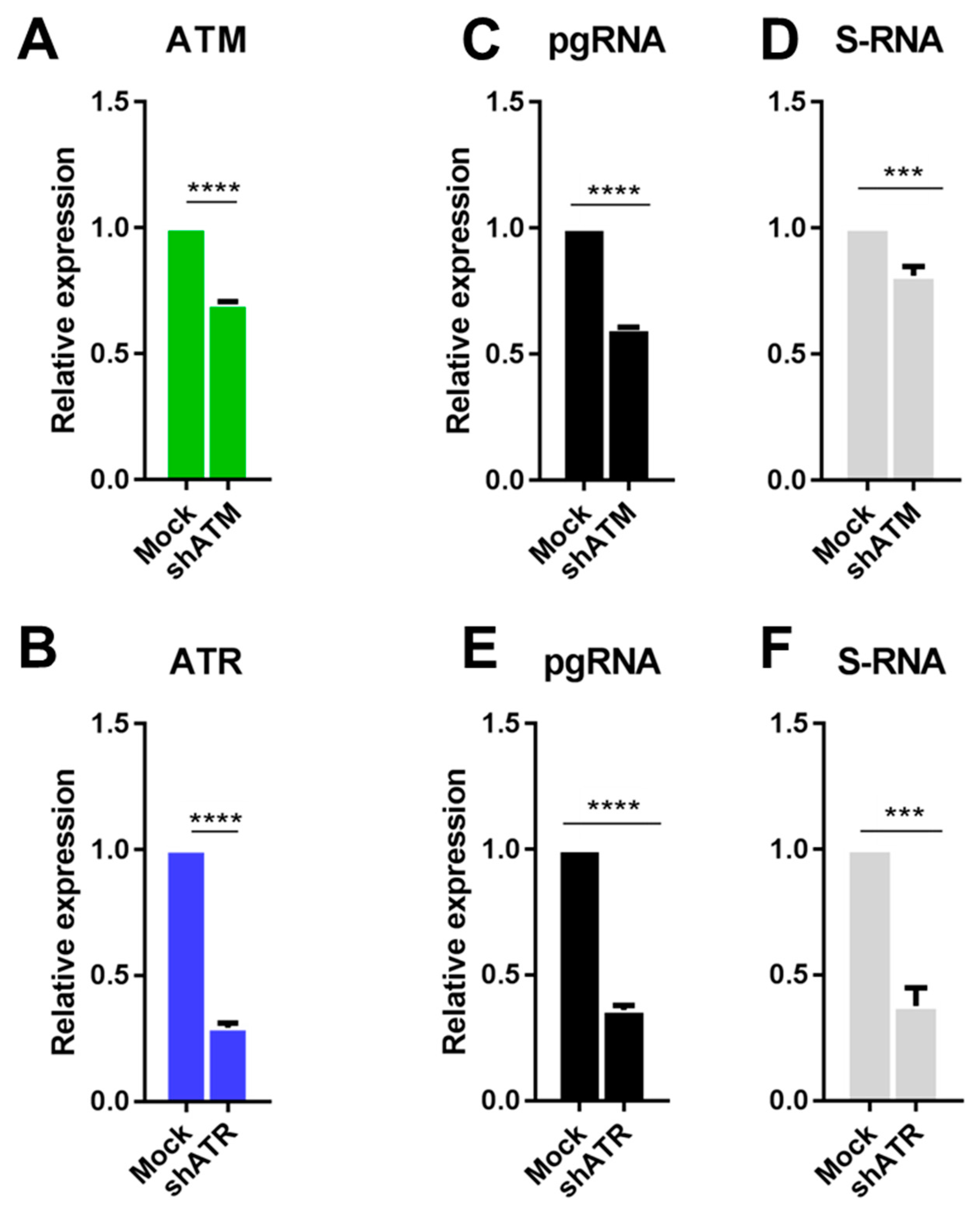 Viruses 11 00997 g003