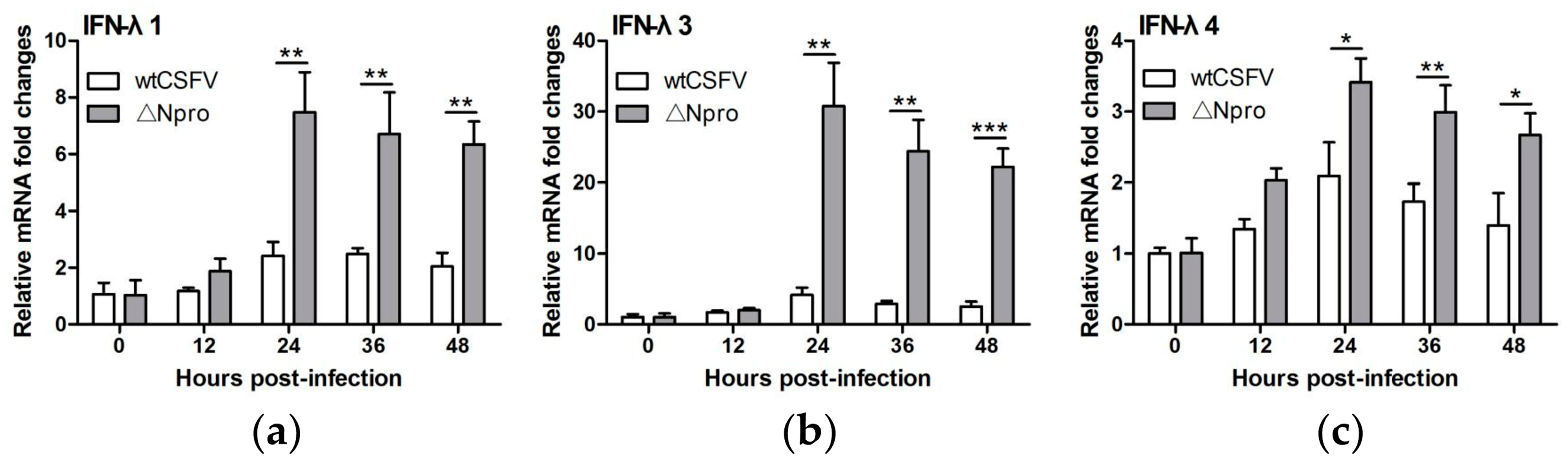 Viruses 11 00998 g003