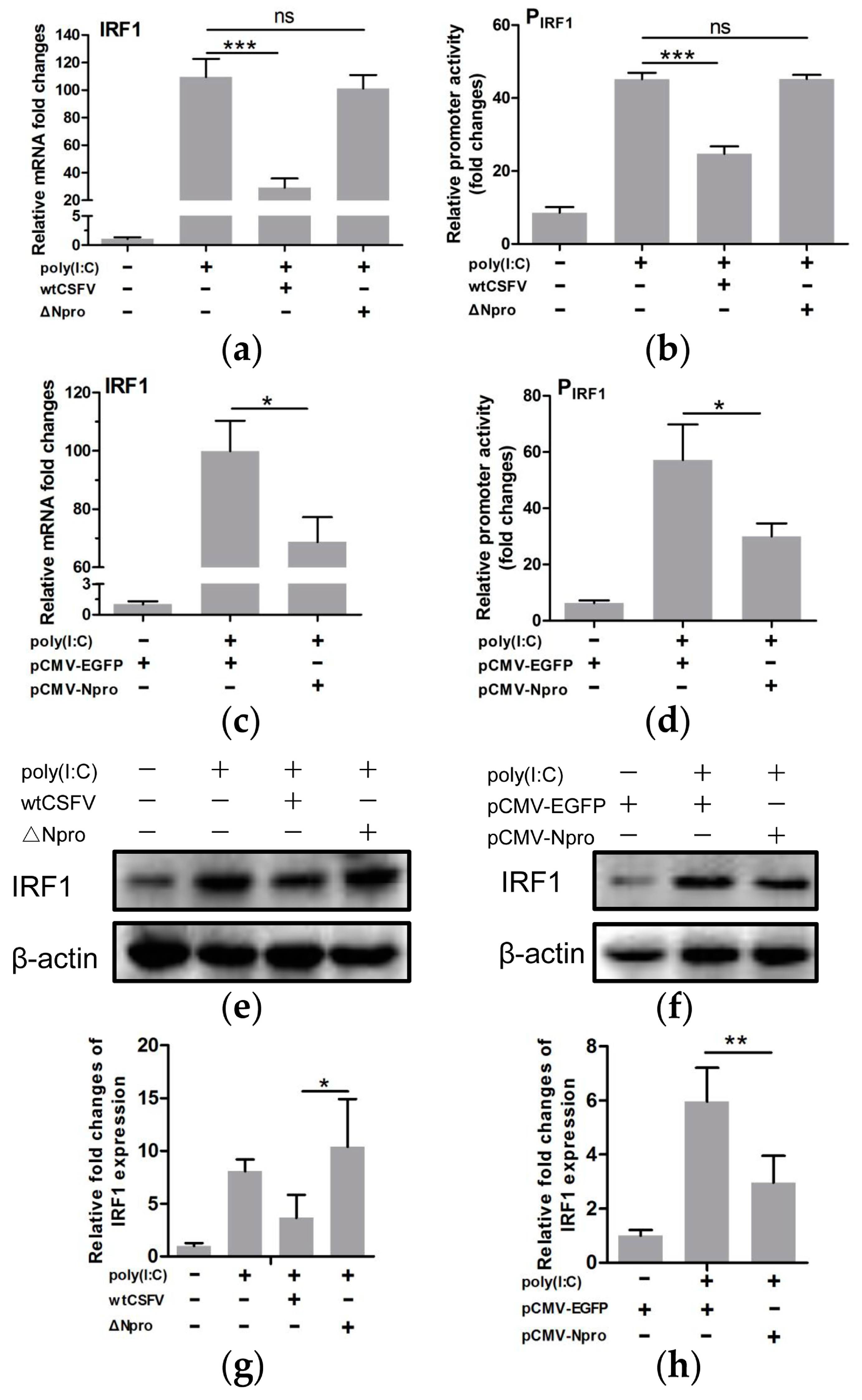 Viruses 11 00998 g008