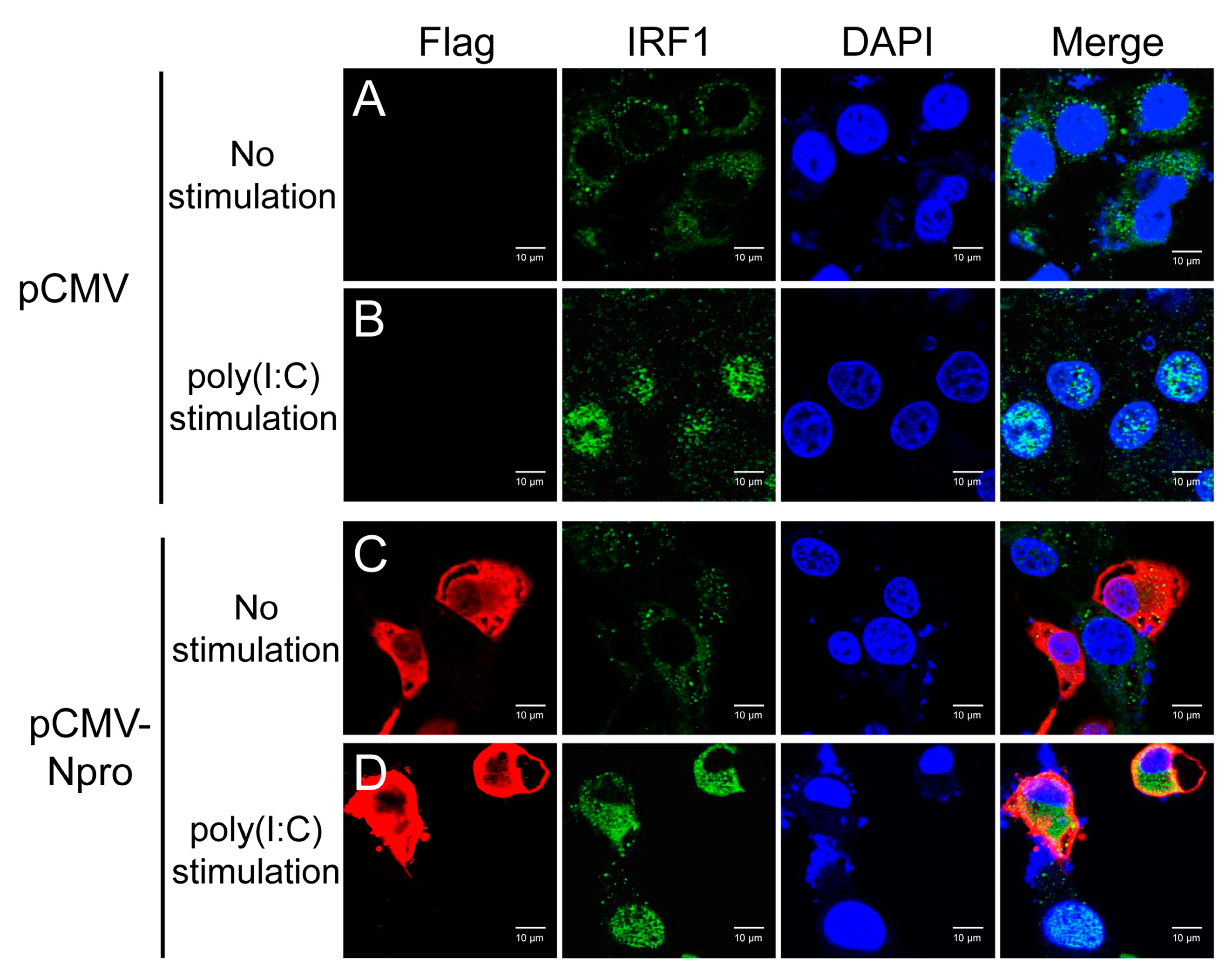 Viruses 11 00998 g010
