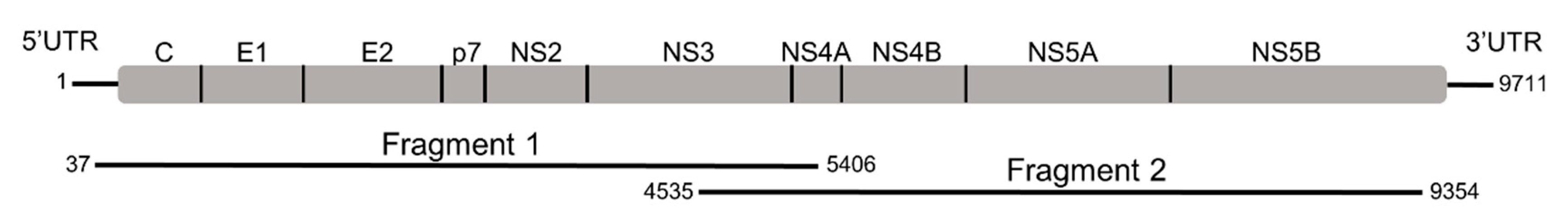 Viruses 11 01000 g001