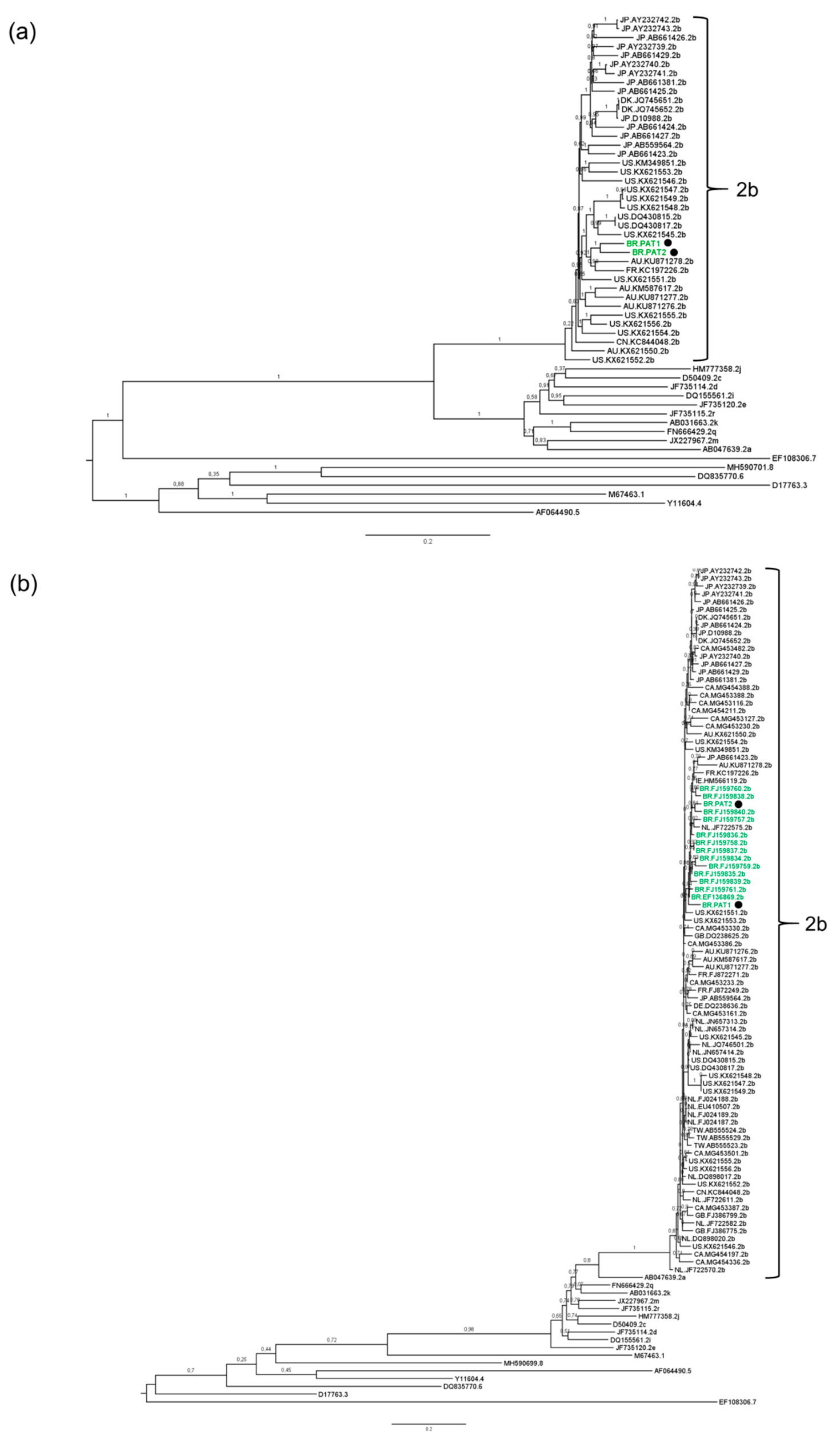 Viruses 11 01000 g003