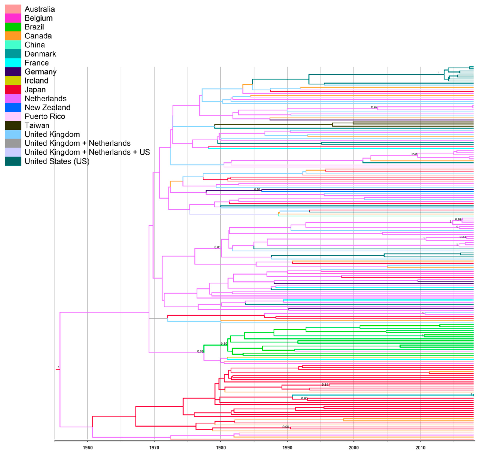 Viruses 11 01000 g004