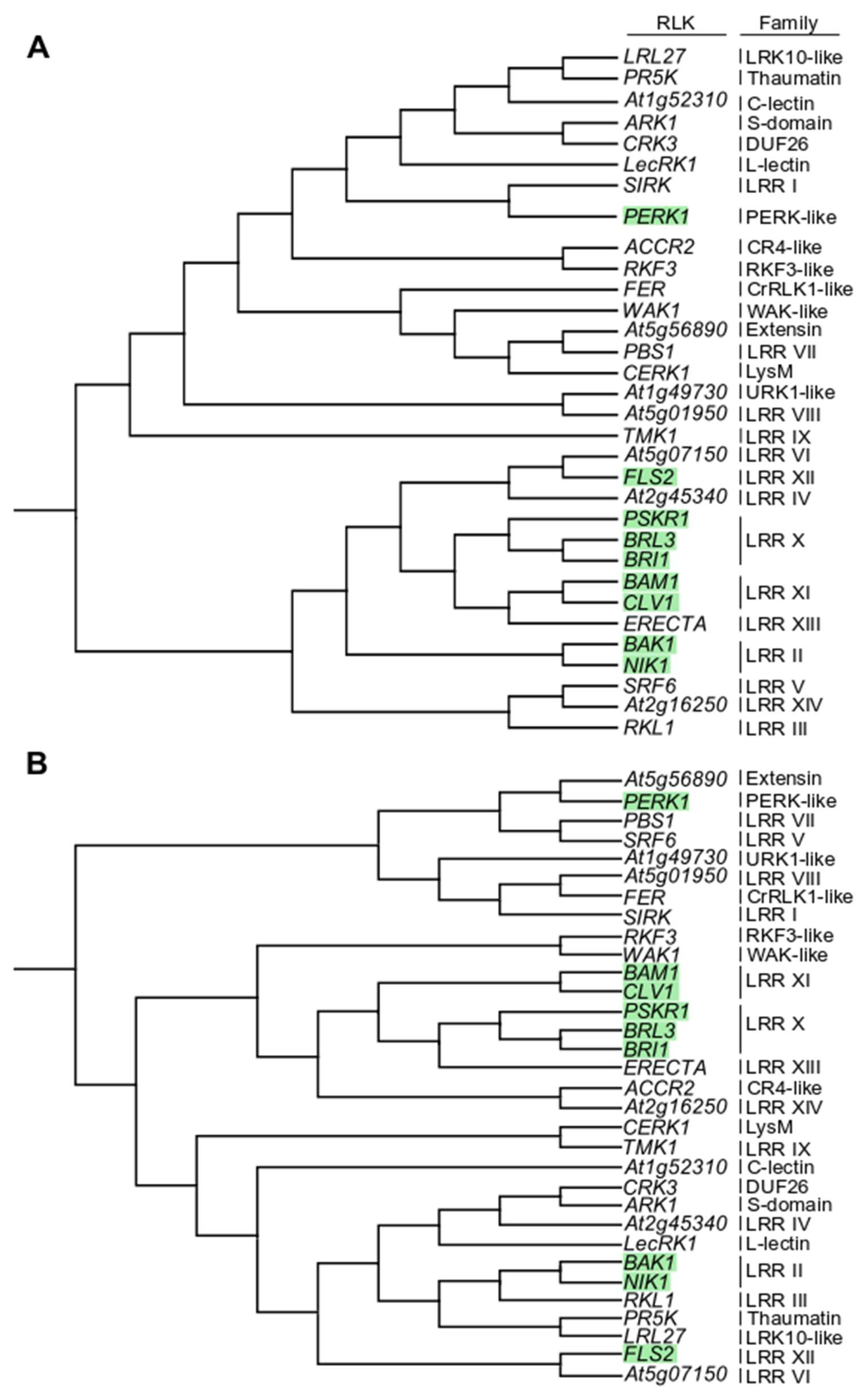 clc genomics workbench phylogeny tools clc genomics workbench phylogeny tools