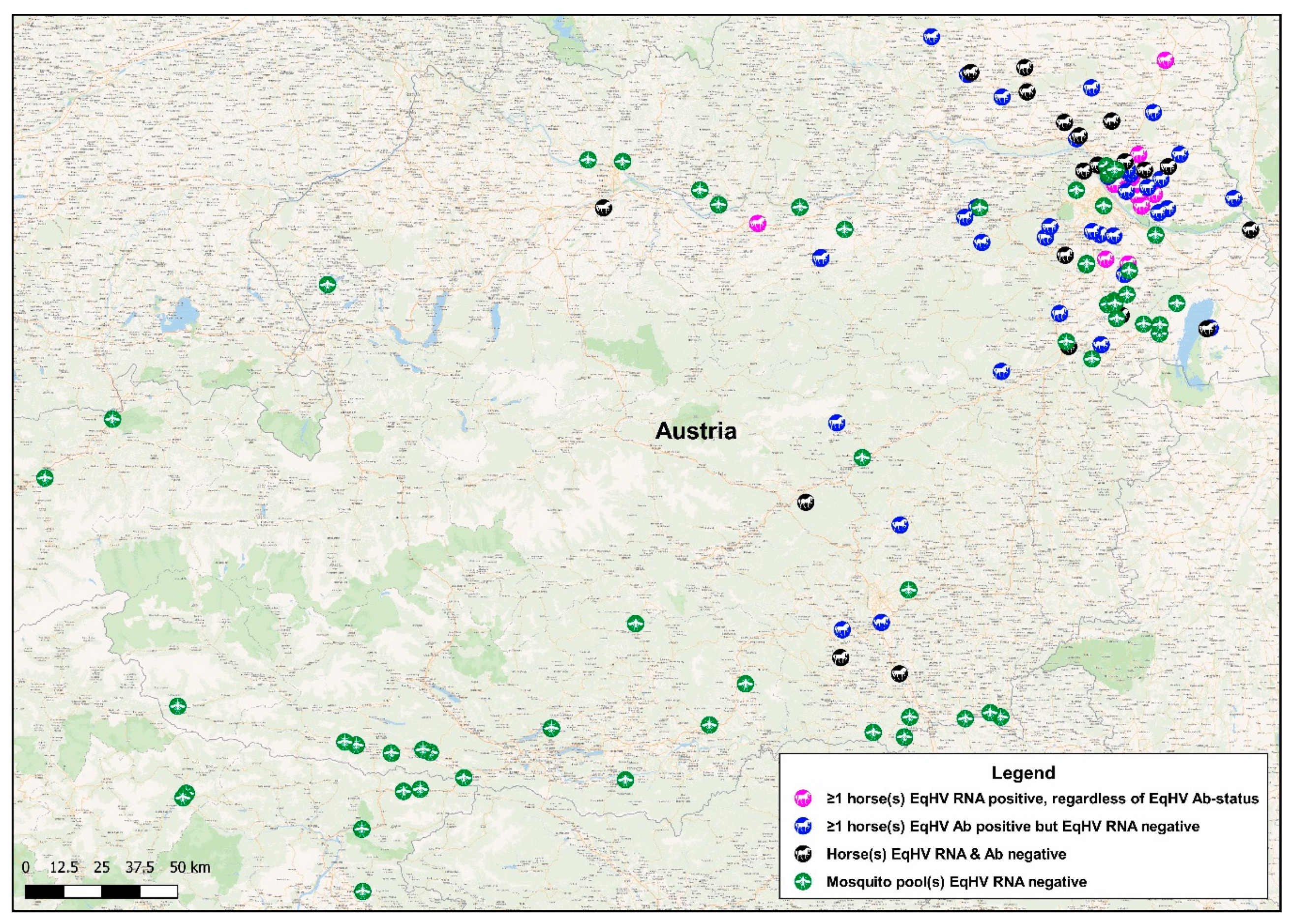 Viruses 11 01014 g001