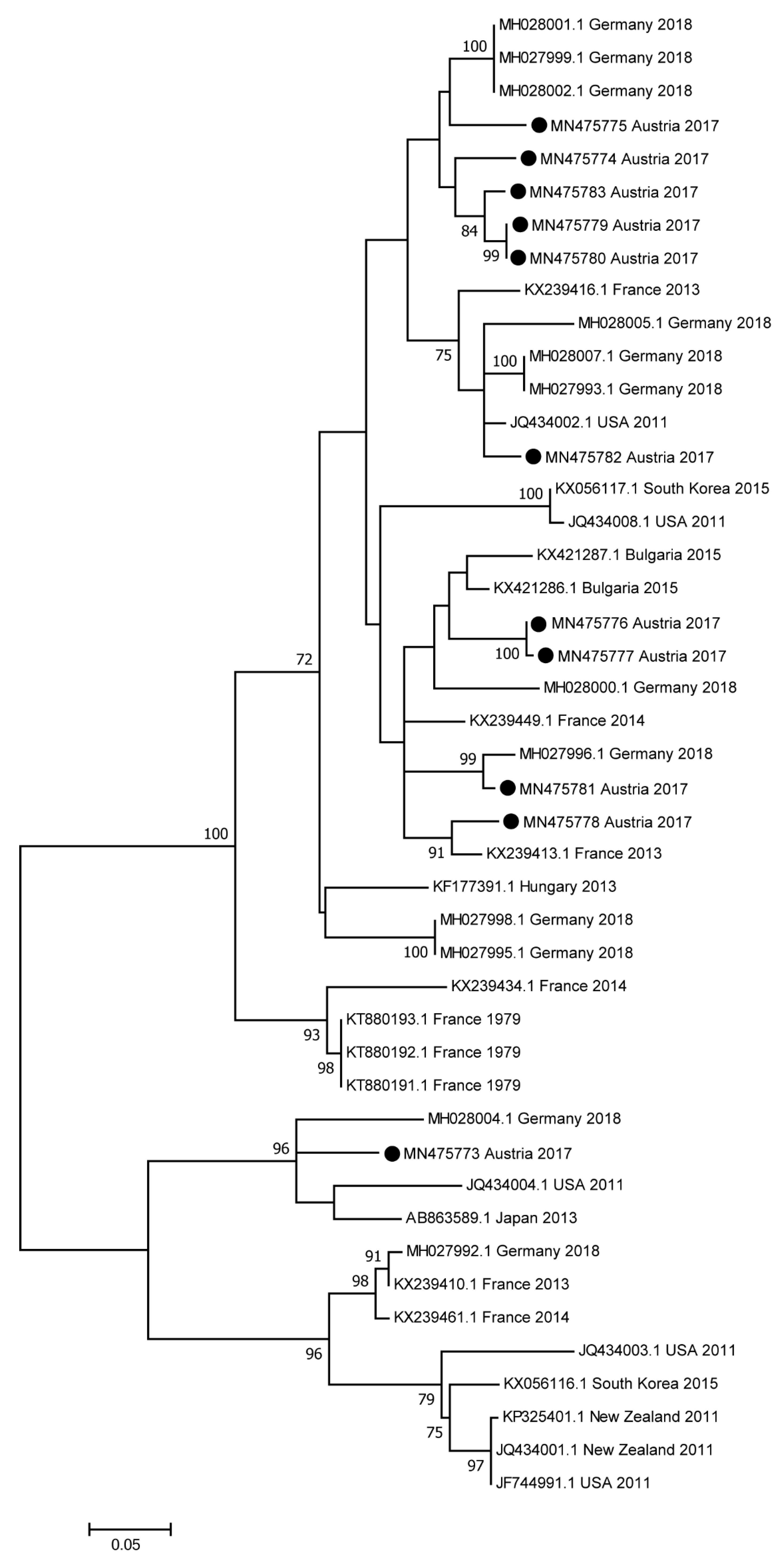 Viruses 11 01014 g002