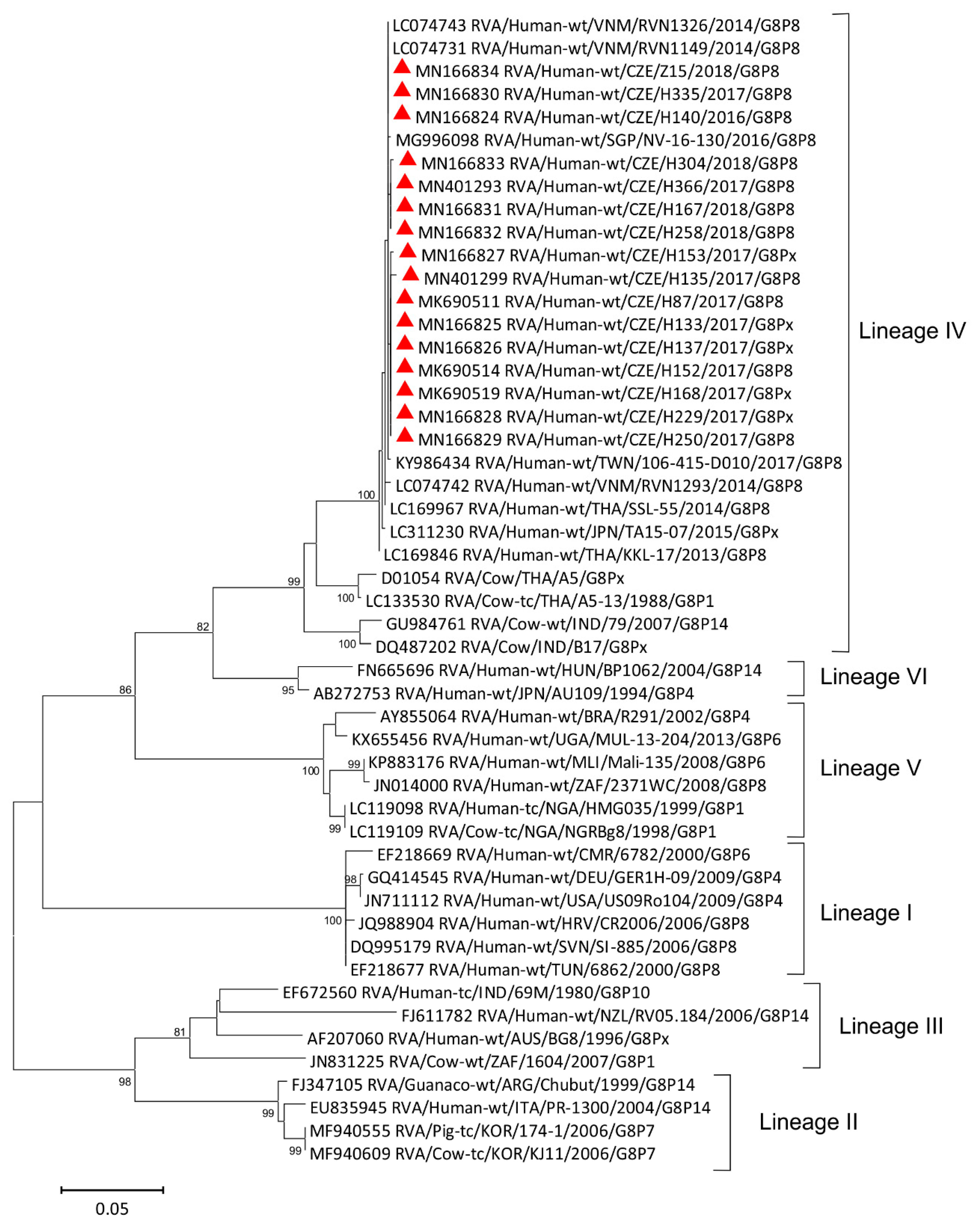 Viruses 11 01015 g002