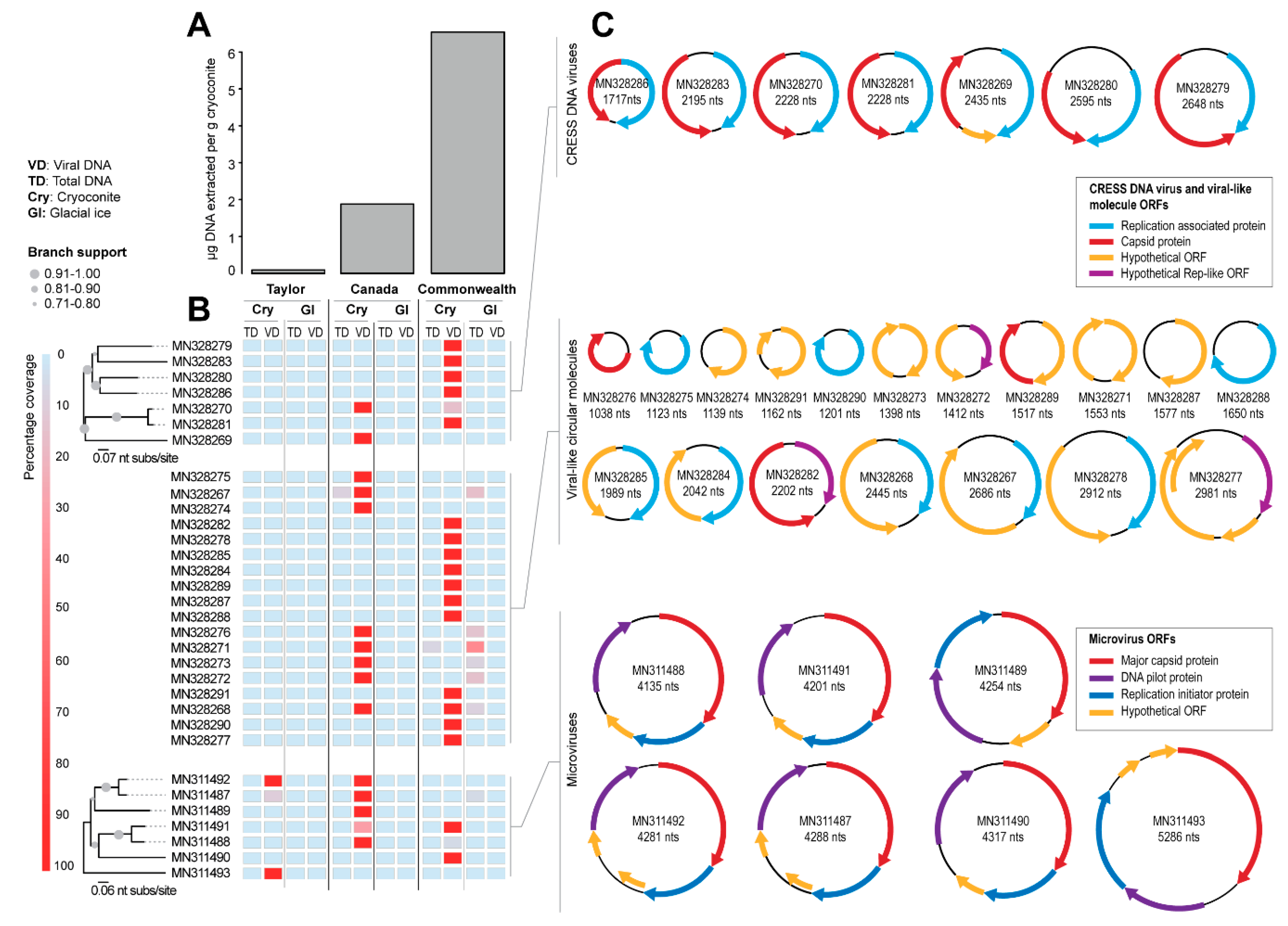 Viruses 11 01022 g002 Viruses 11 01022 g002