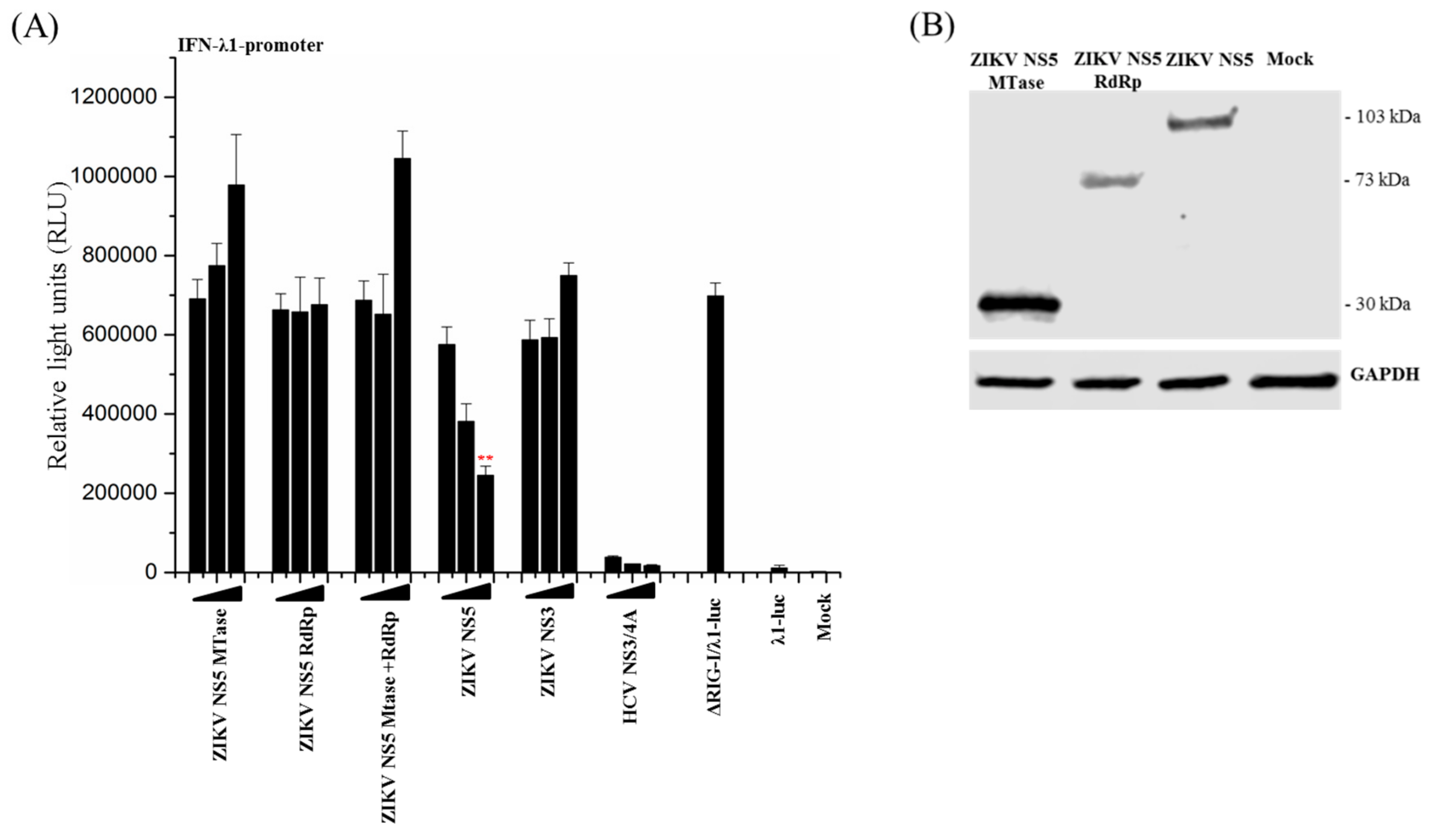 Viruses 11 01024 g004