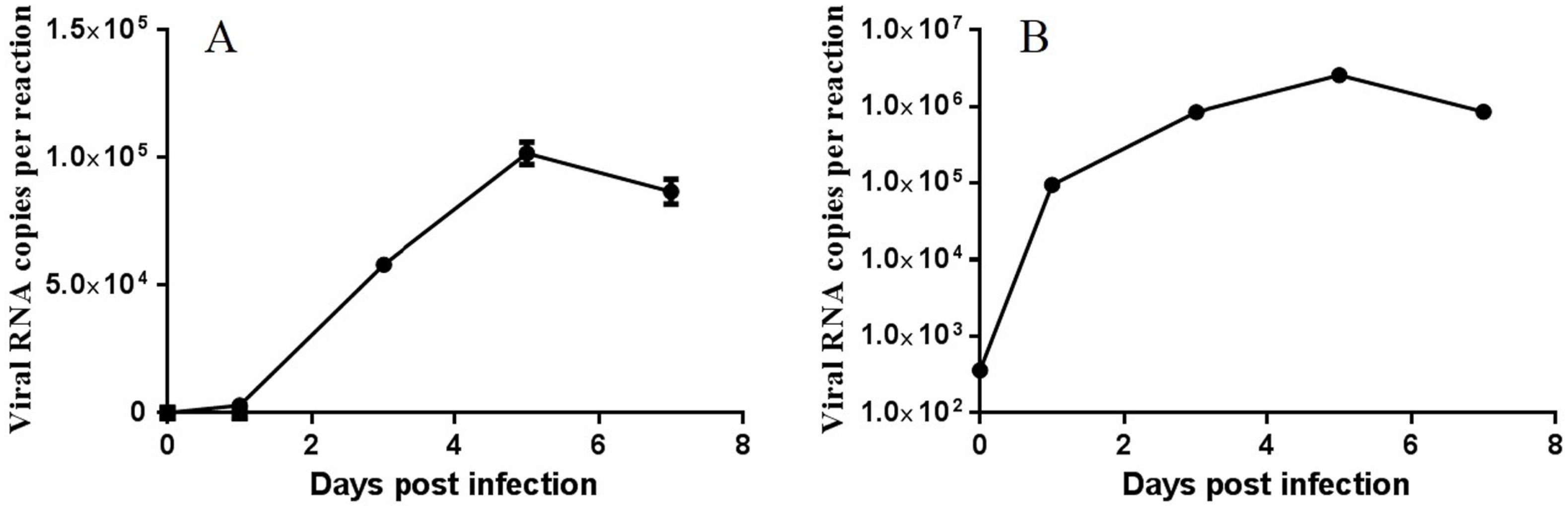 Viruses 11 01025 g001