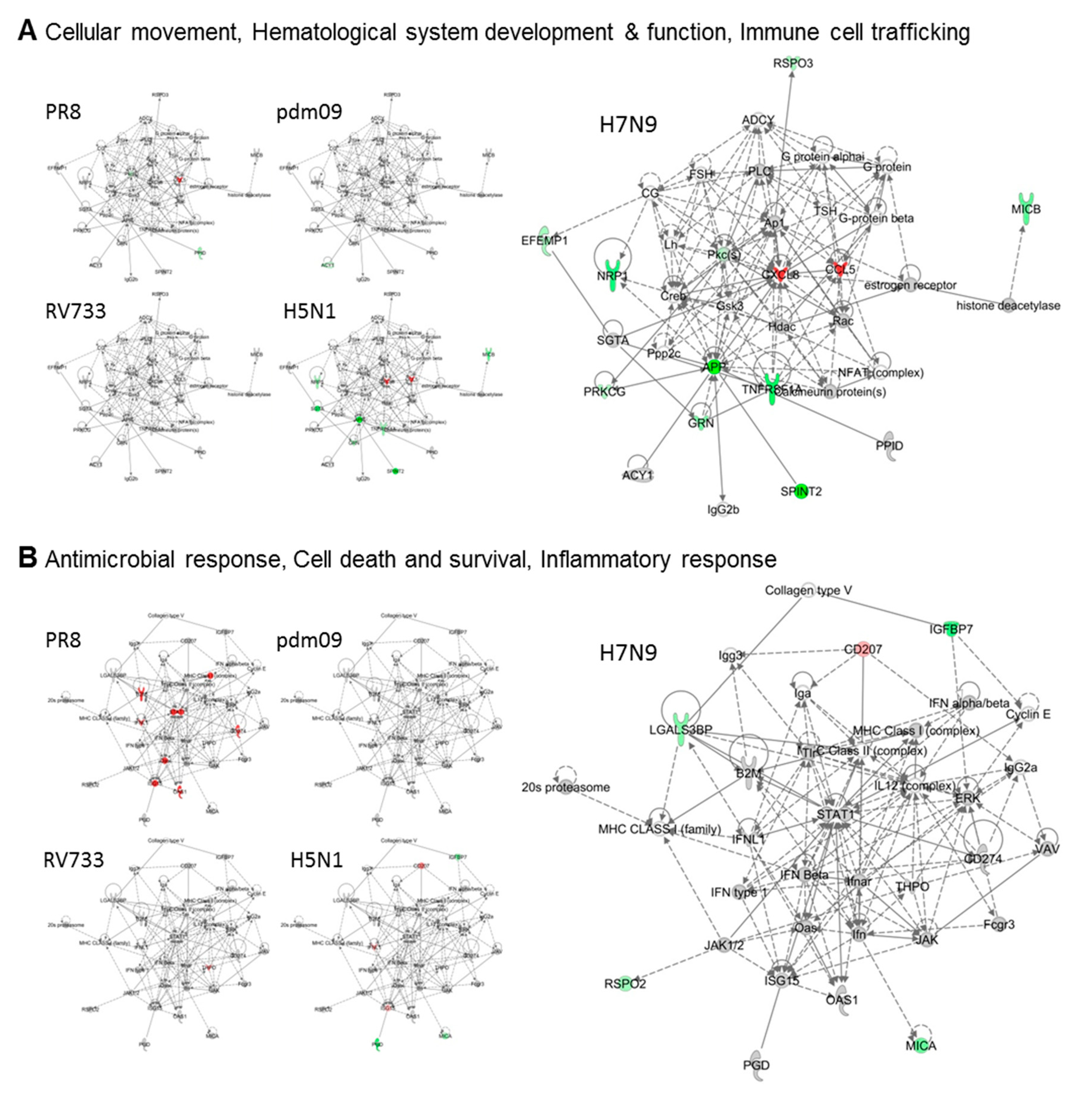 Viruses 11 01028 g003a
