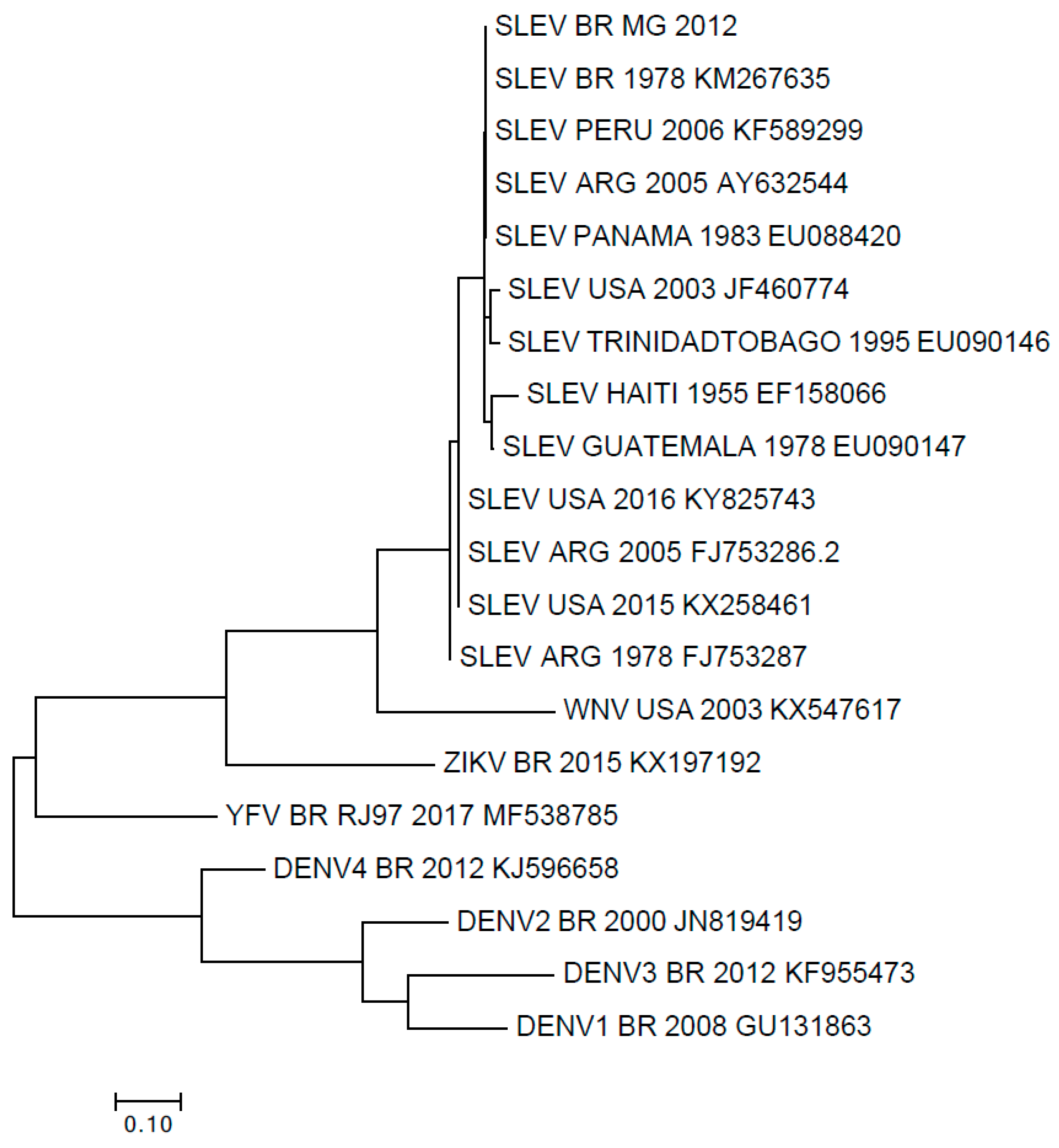 Viruses 11 01029 g003